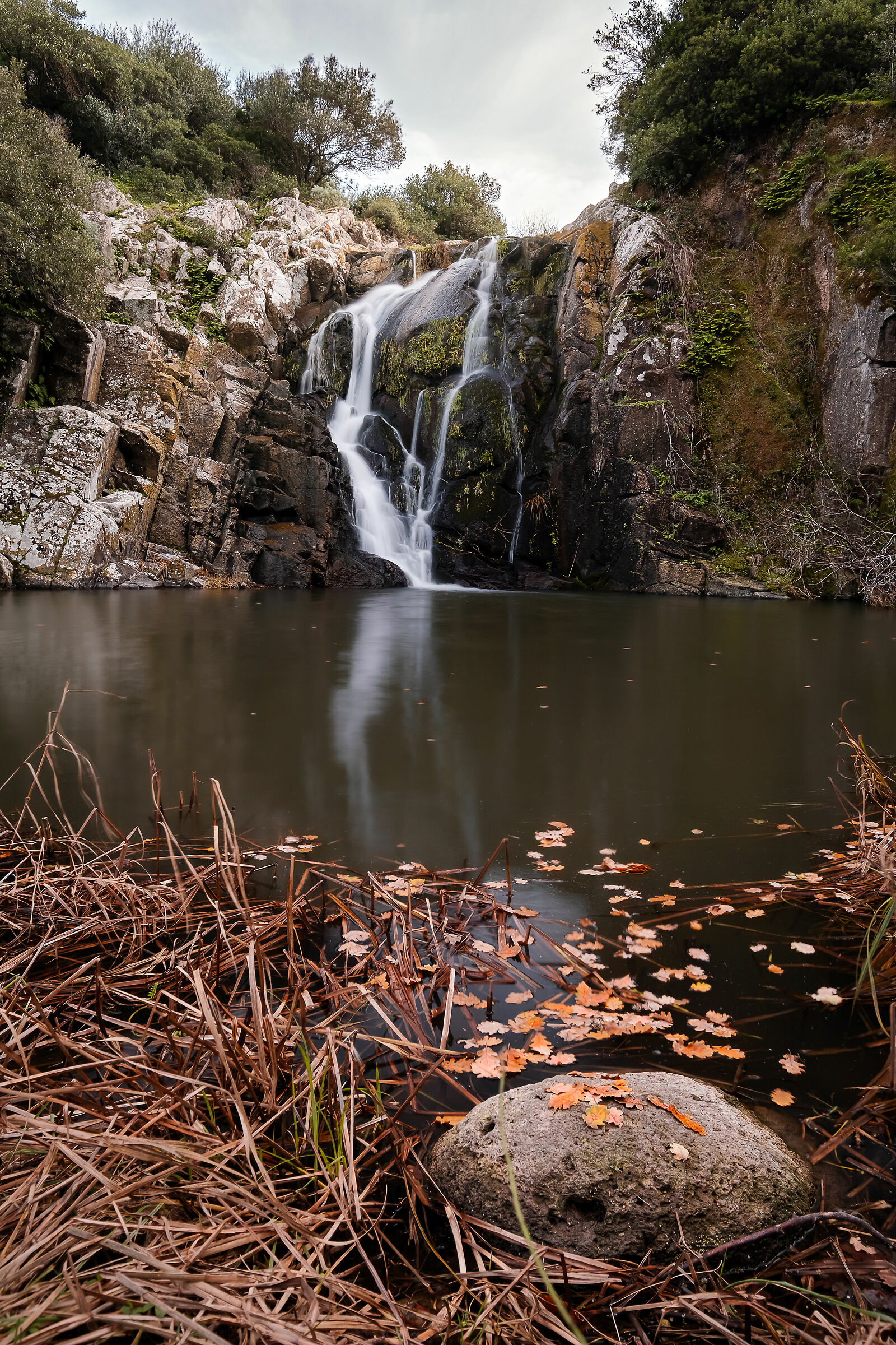L'acqua si butta dal precipizio perché vuole vola...
