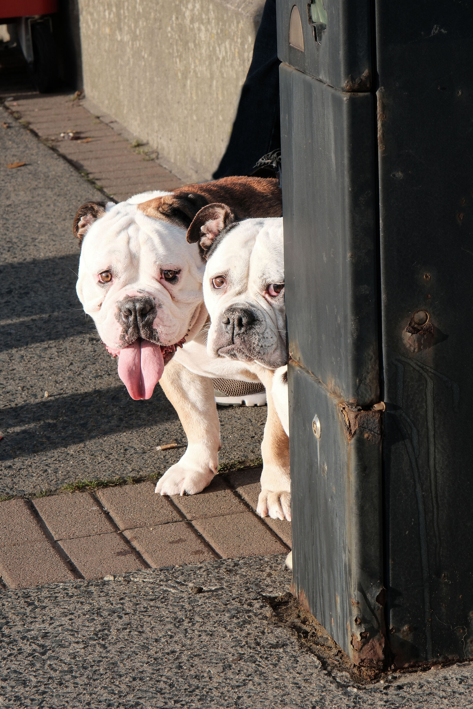 Non c'è niente da guardare