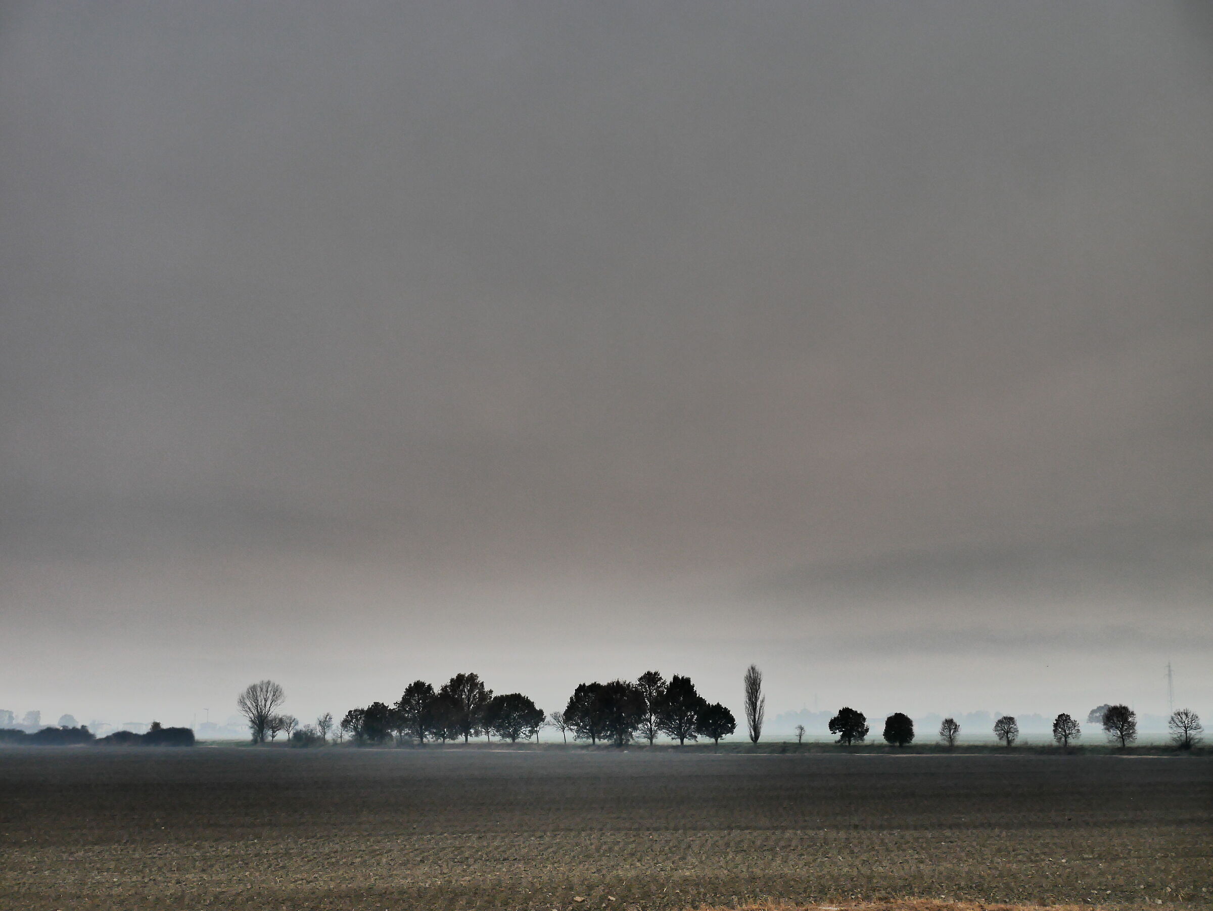 Partecipanza agraria di Nonantola
