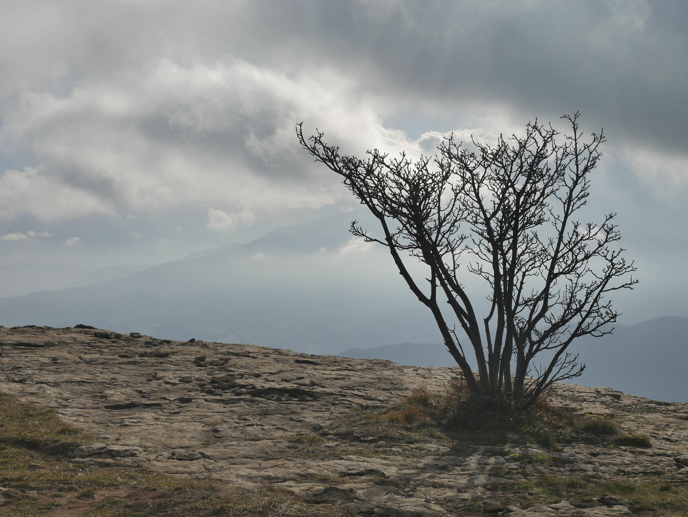 dalla Pietra di Bismantova