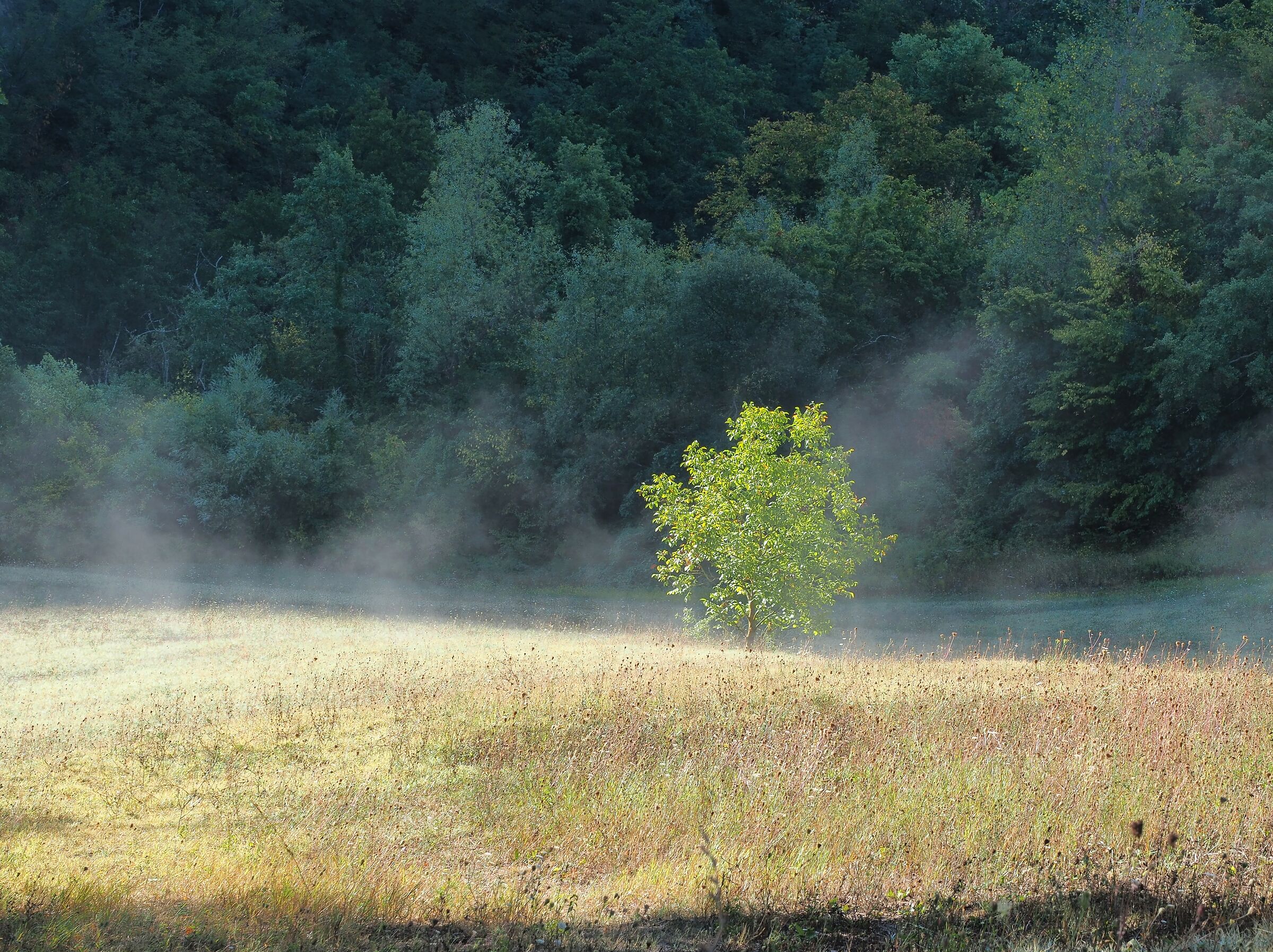 parco dei Sassi di Roccamalatina