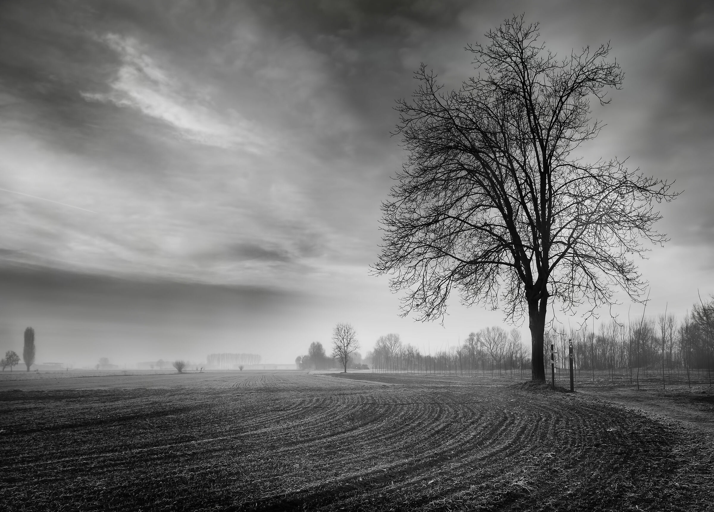 Il guardiano dei campi