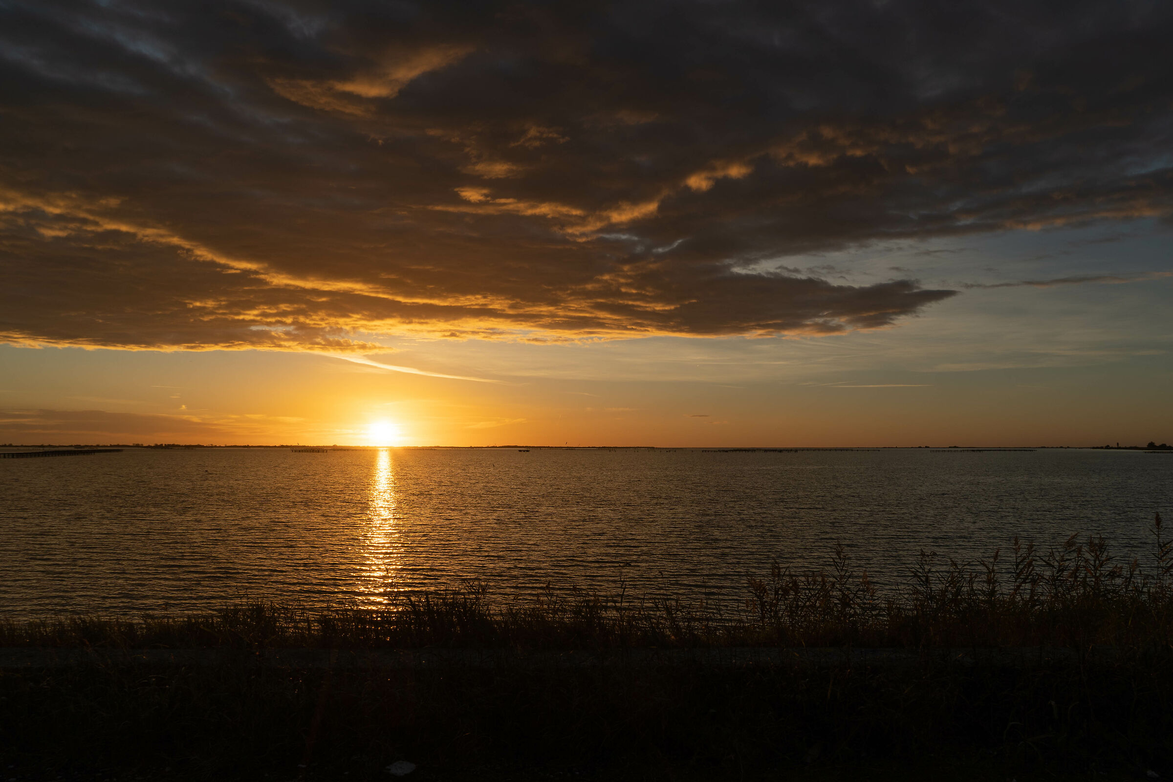 Sacca degli Scardovari: A New Day