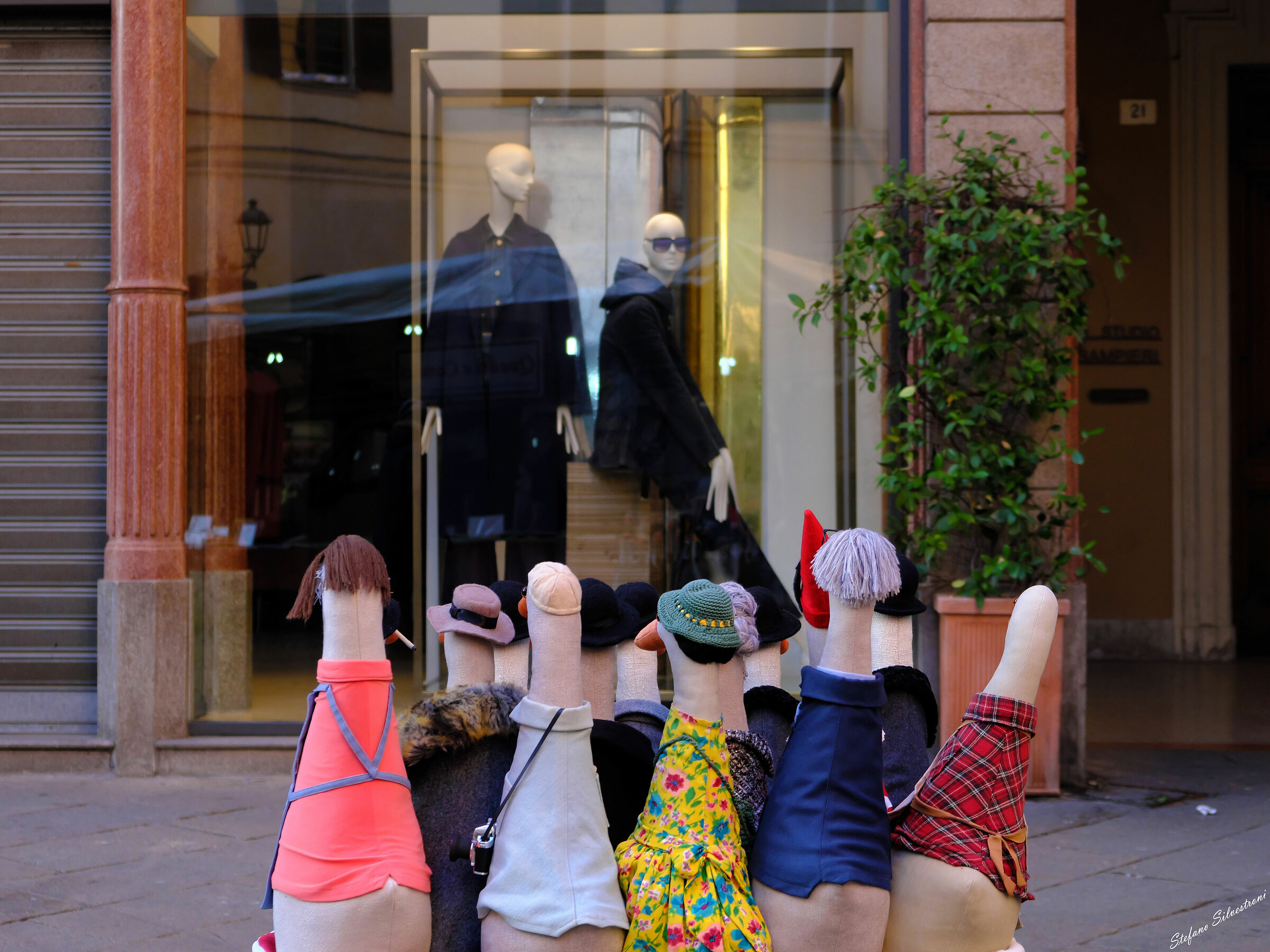 Quack! I saw her looking at him looking at her...