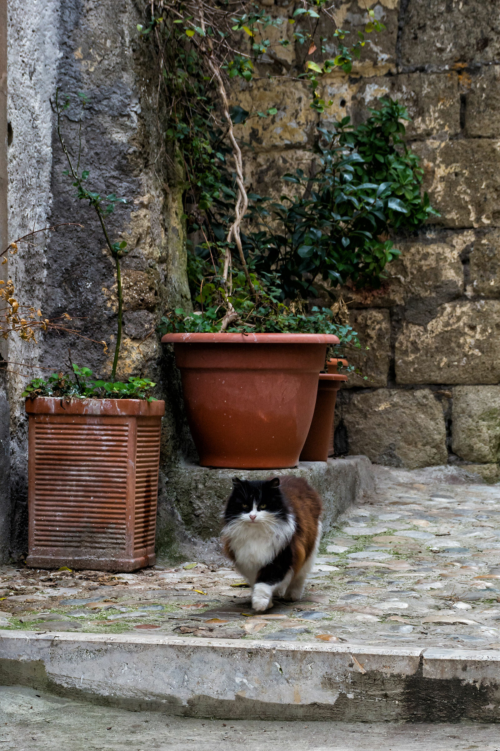 Walking through Calcata Vecchia