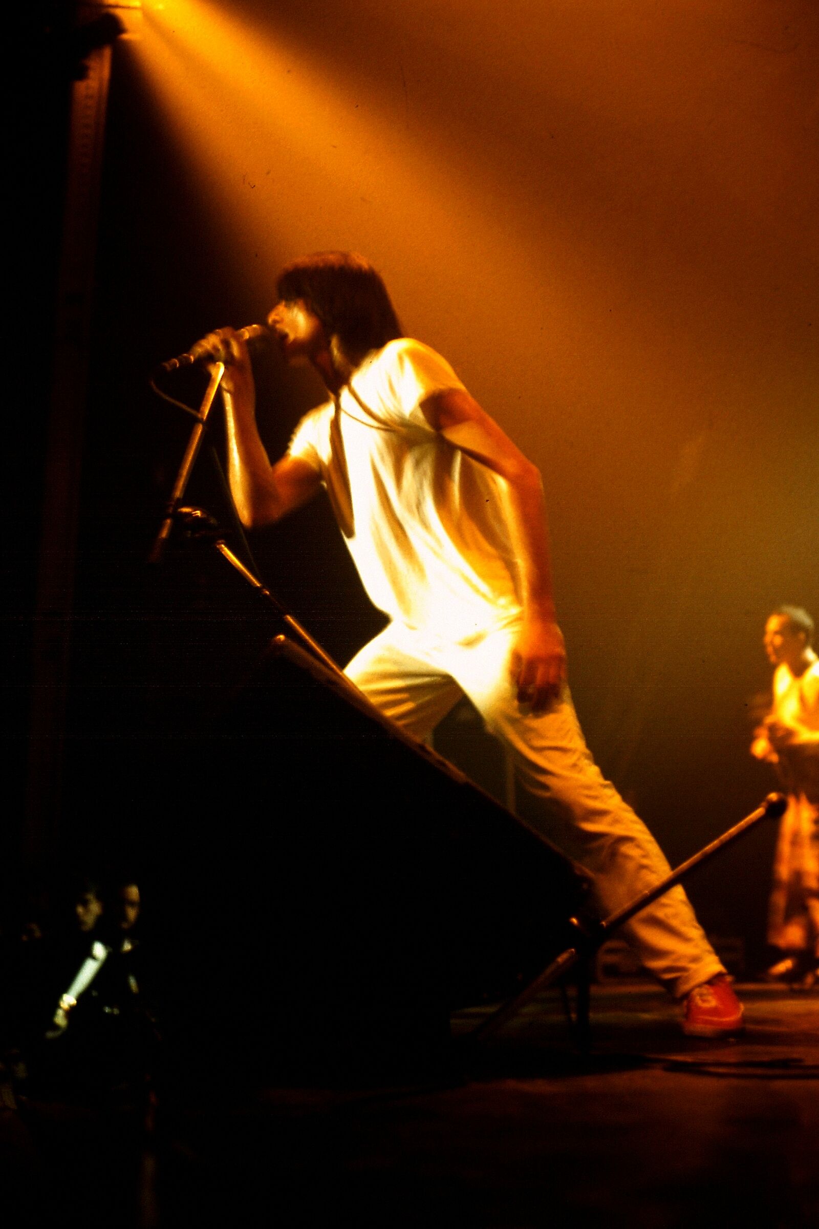 Alberto Fortis - angolo