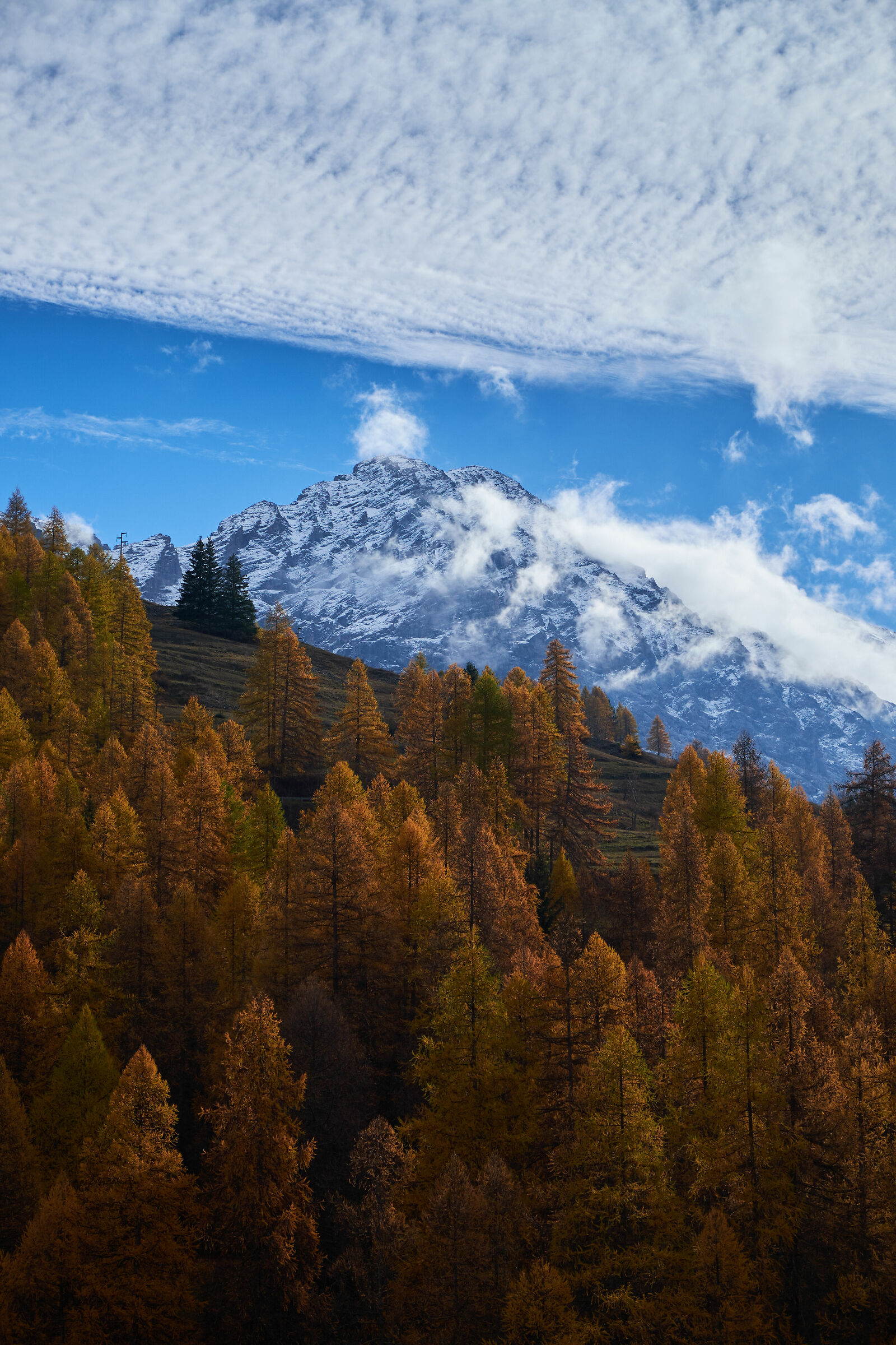 Autunno