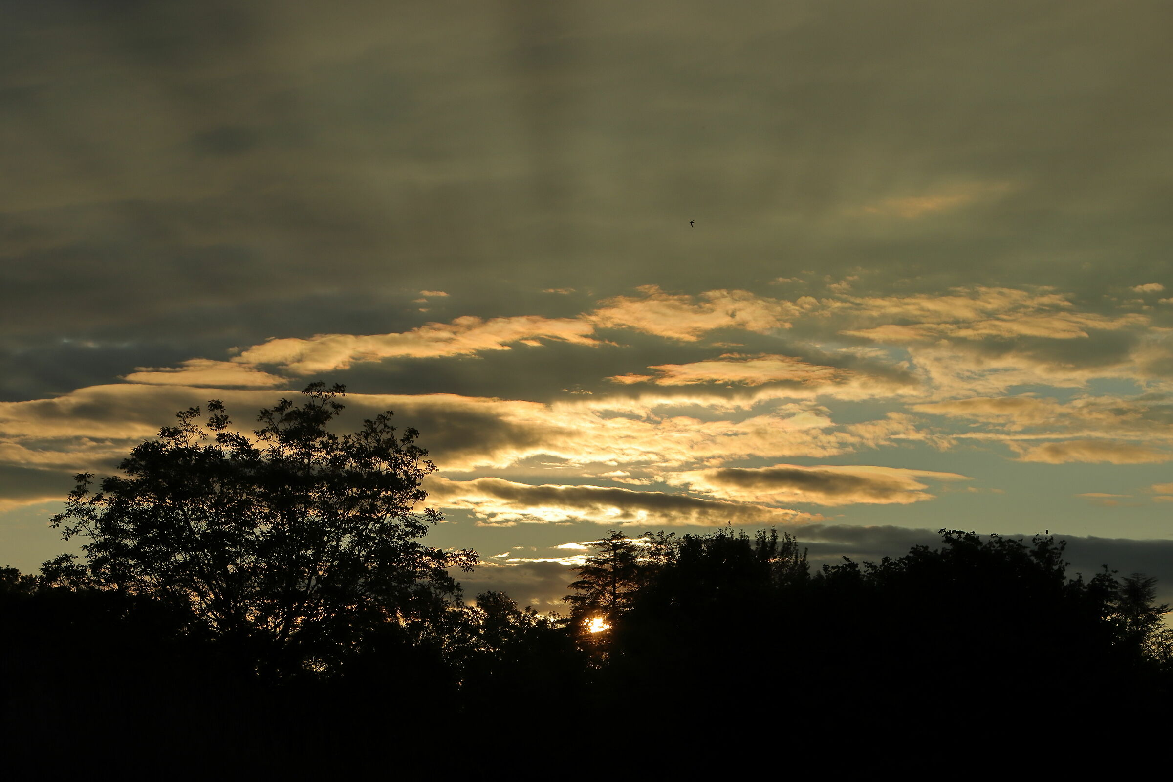 Sunset from the terrace of the house