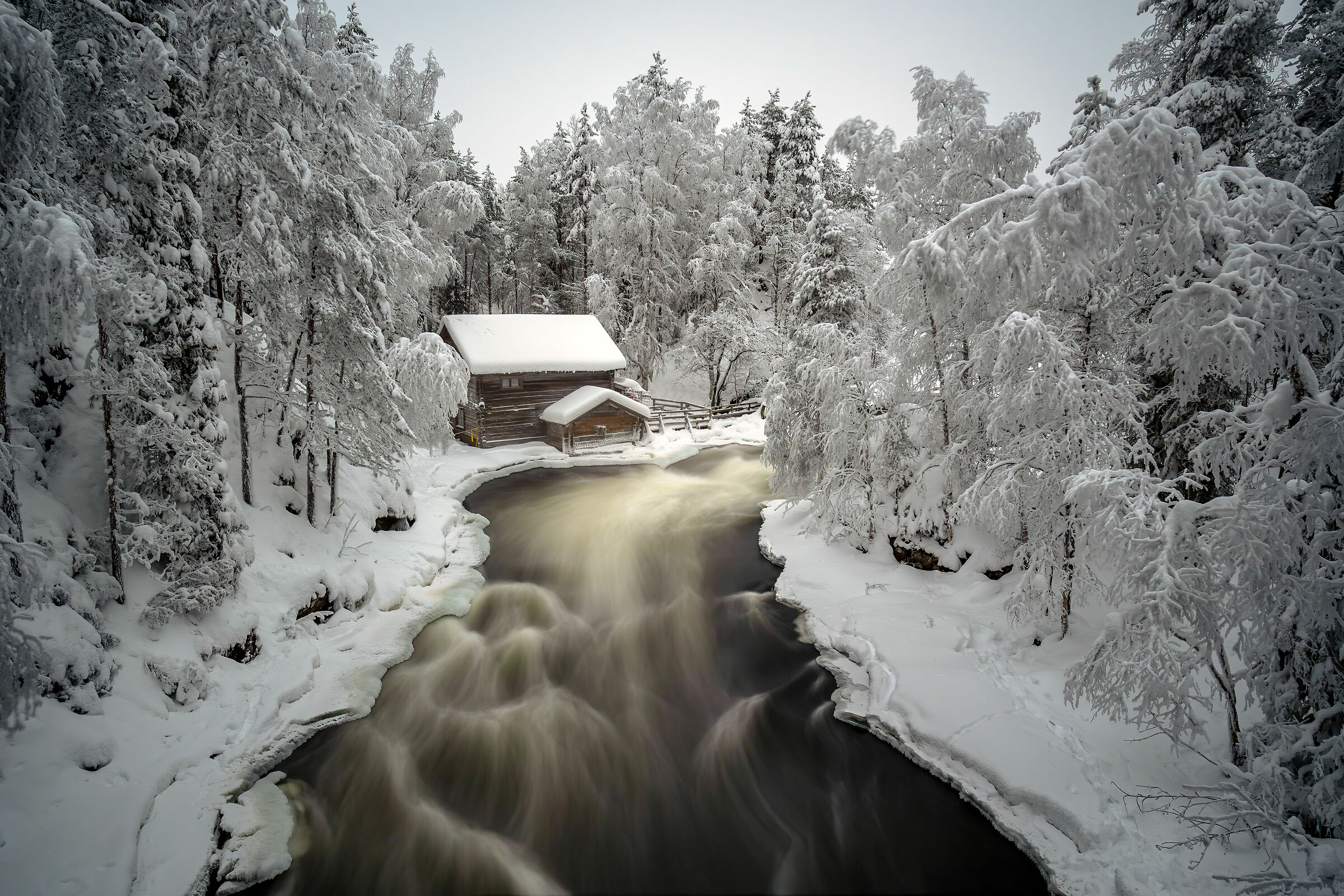 Bianco e Nero naturale