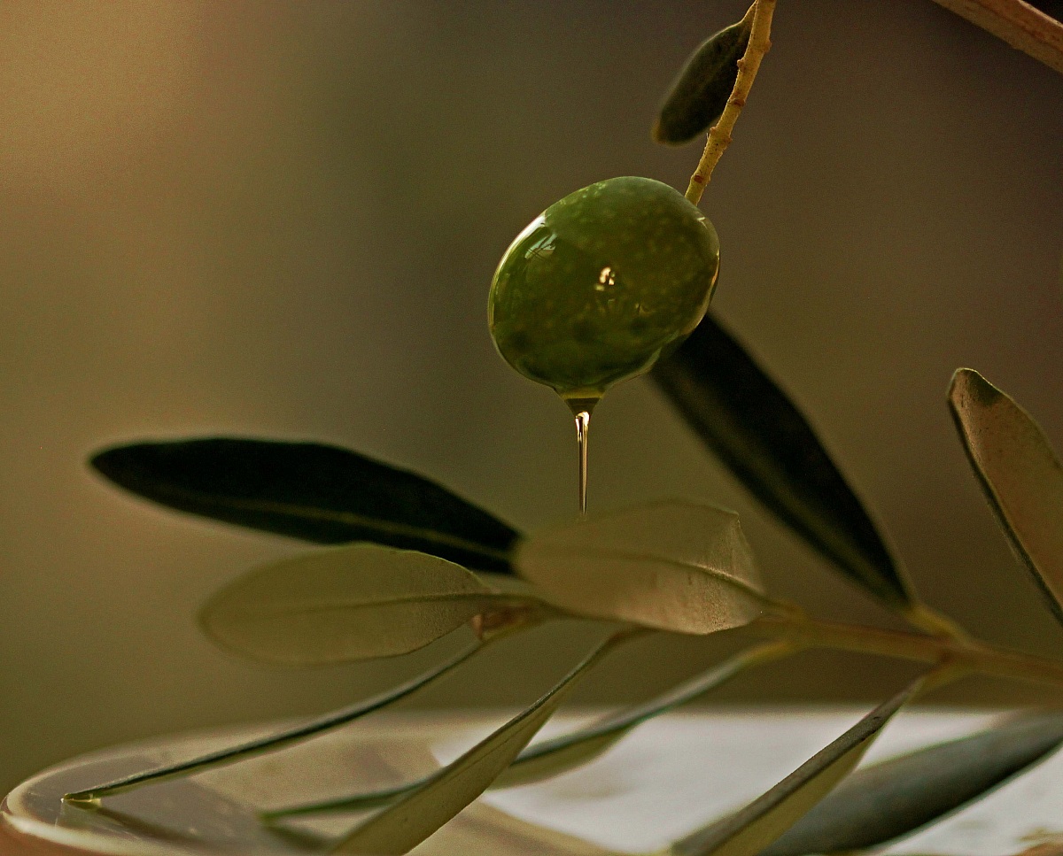 Olive oil