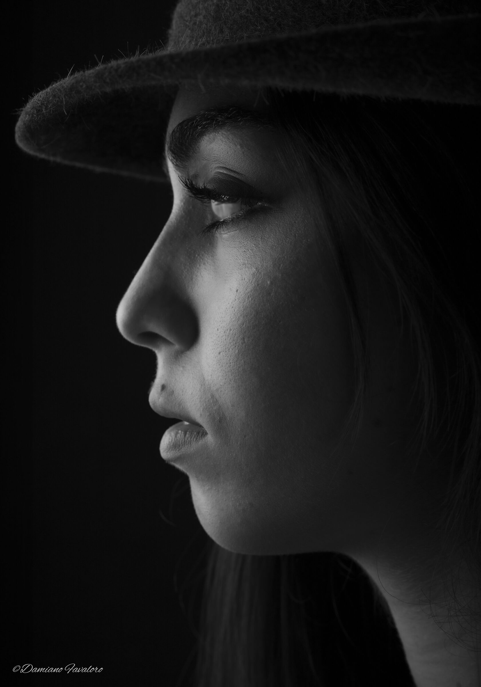 Profilo in bianco e nero