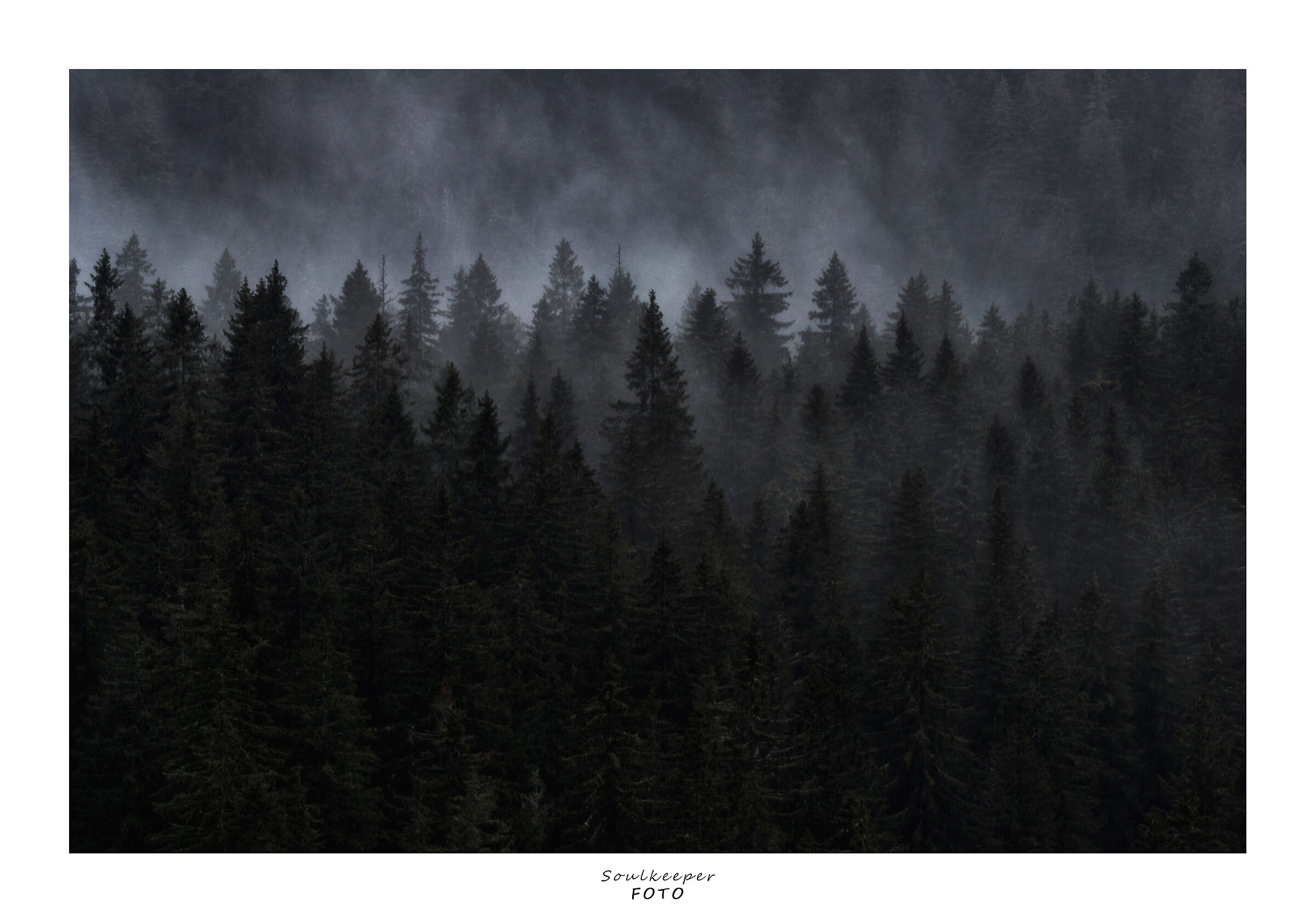 The sound of silence.