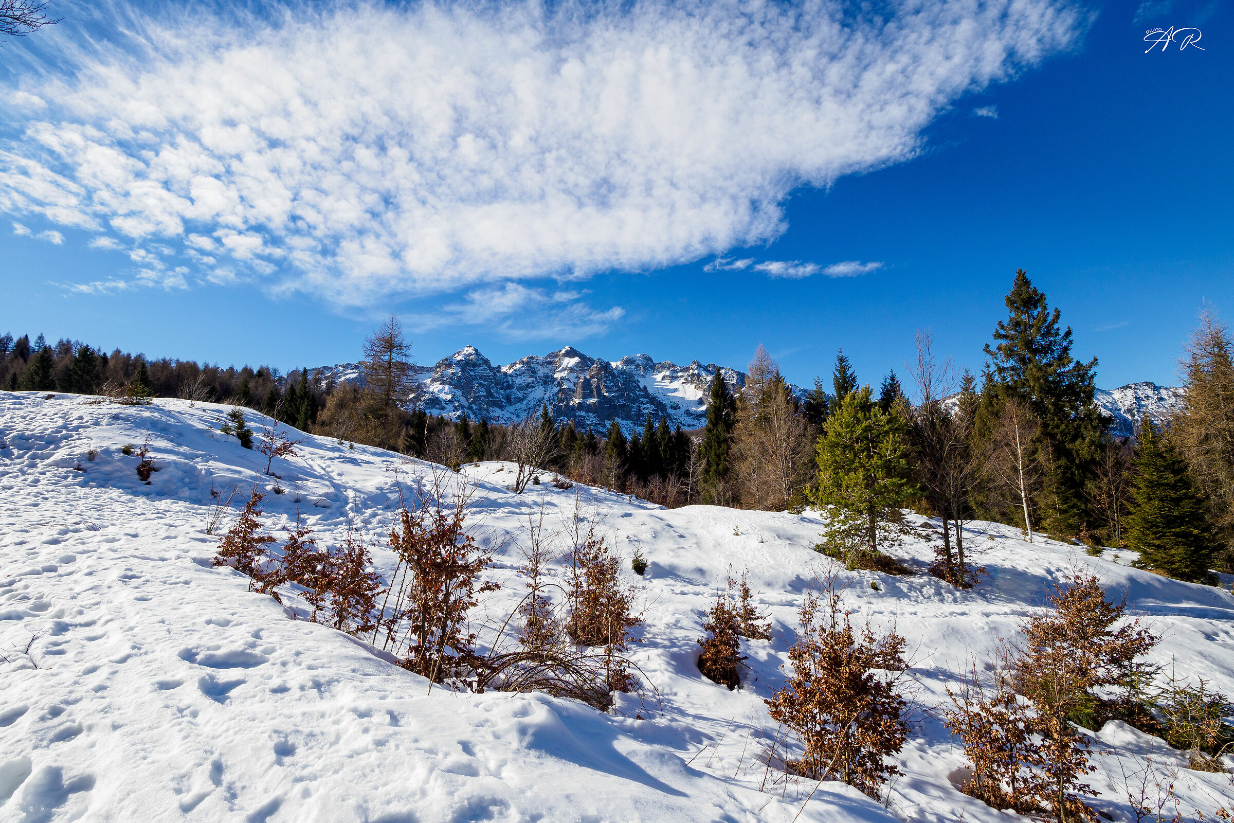 Passo di Campogrosso