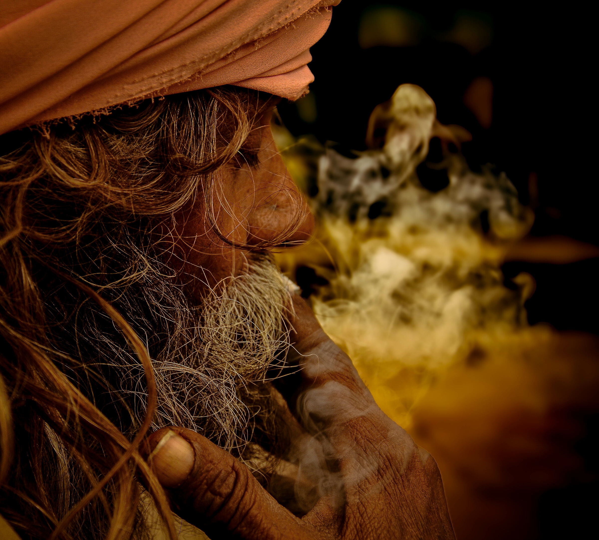 Untitled Photo