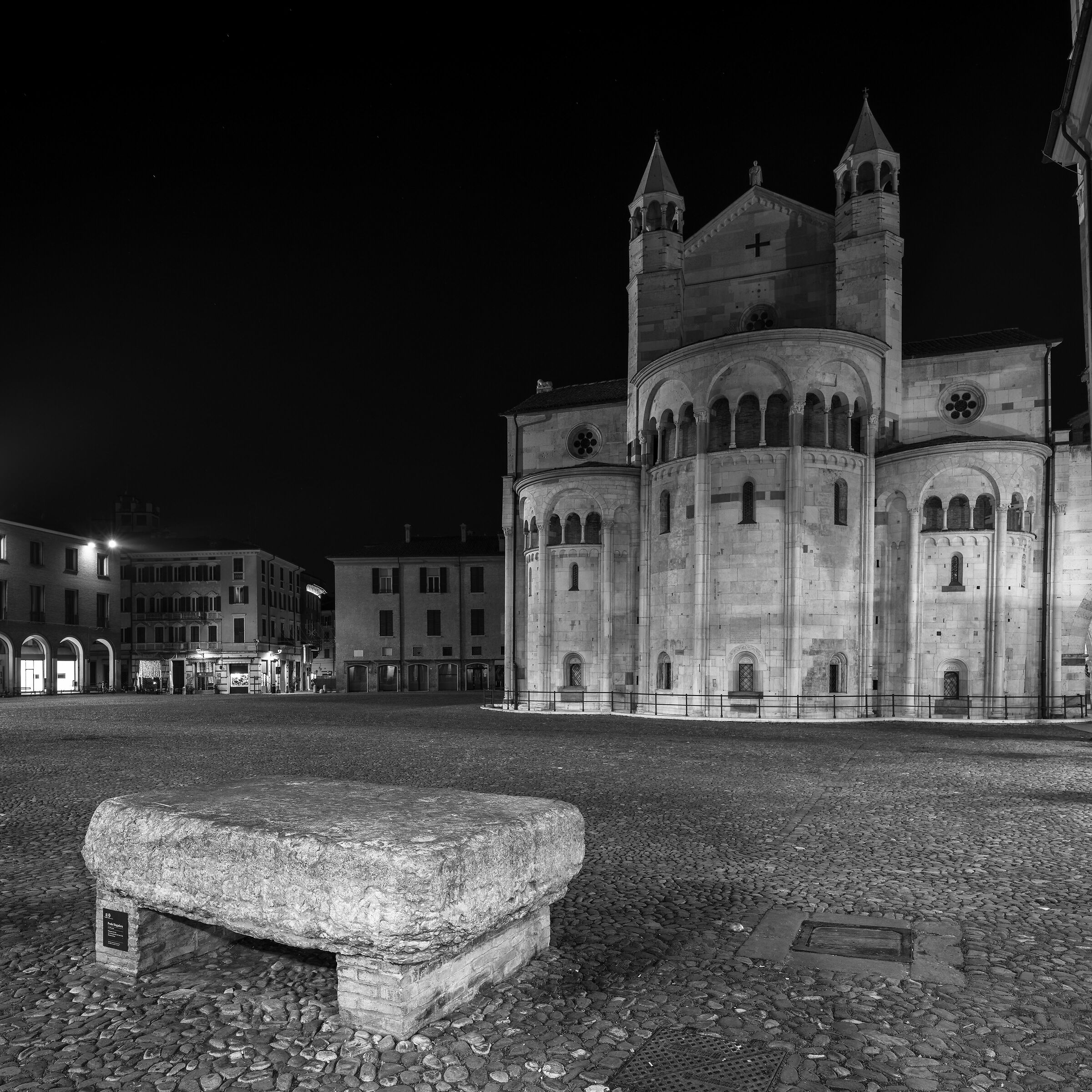 Preda ringadora - Modena