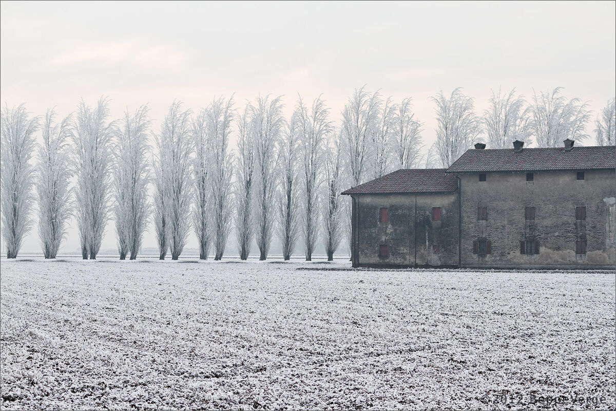 Dolce, malinconico inverno