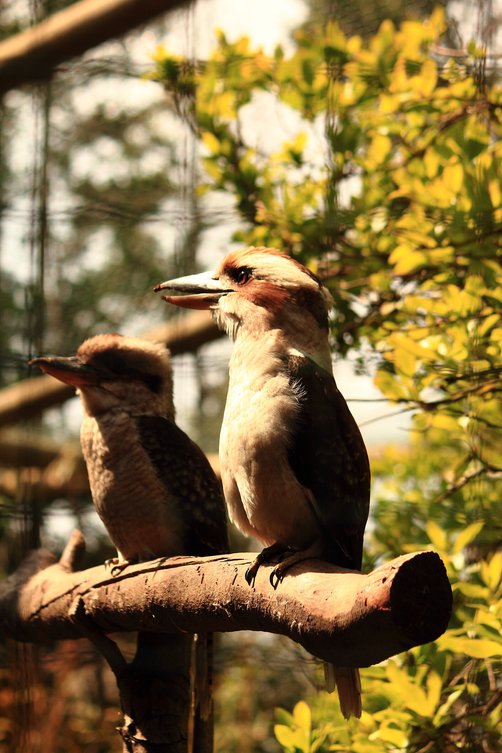 Look at me how beautiful I am