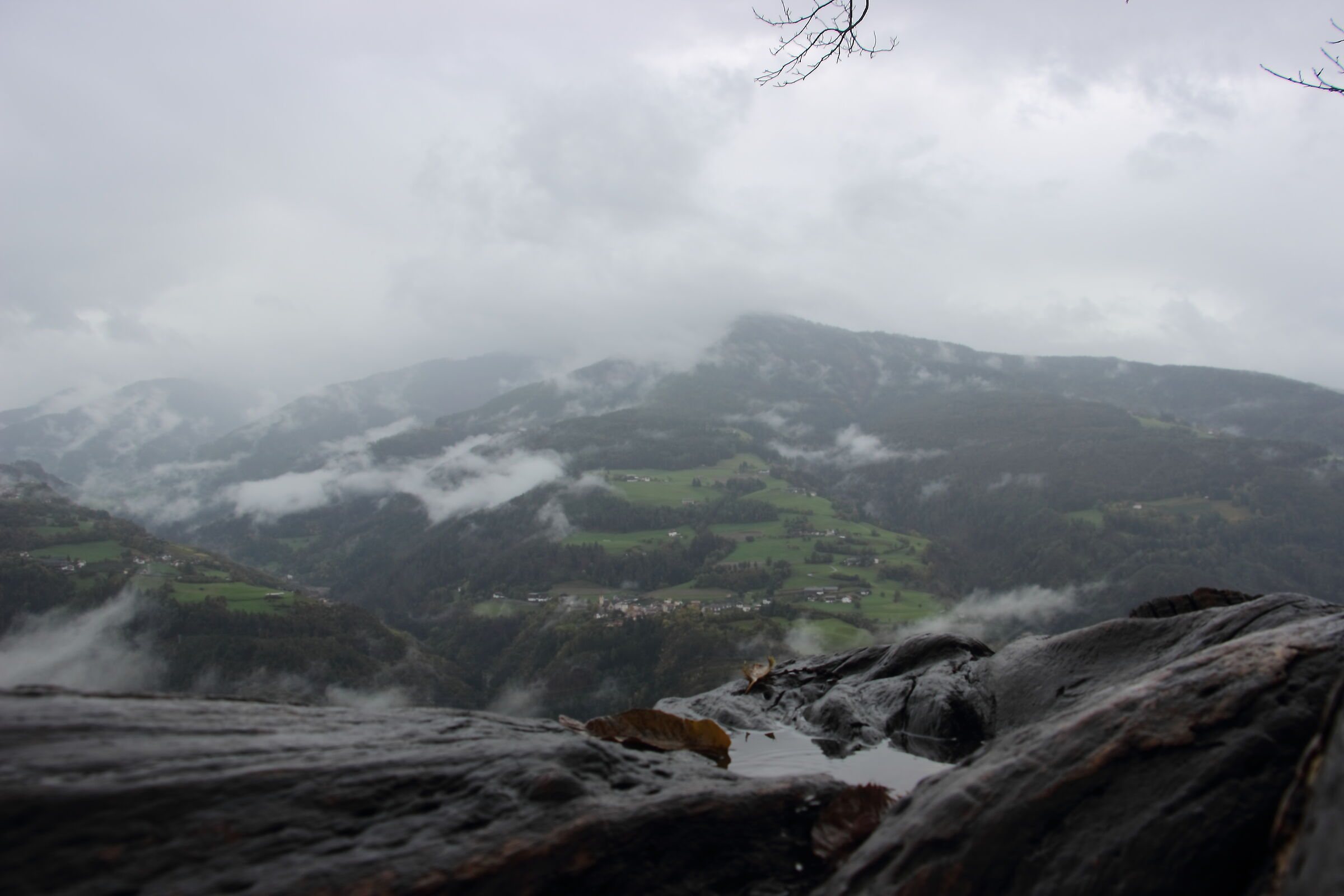 Chiusa nella nebbia