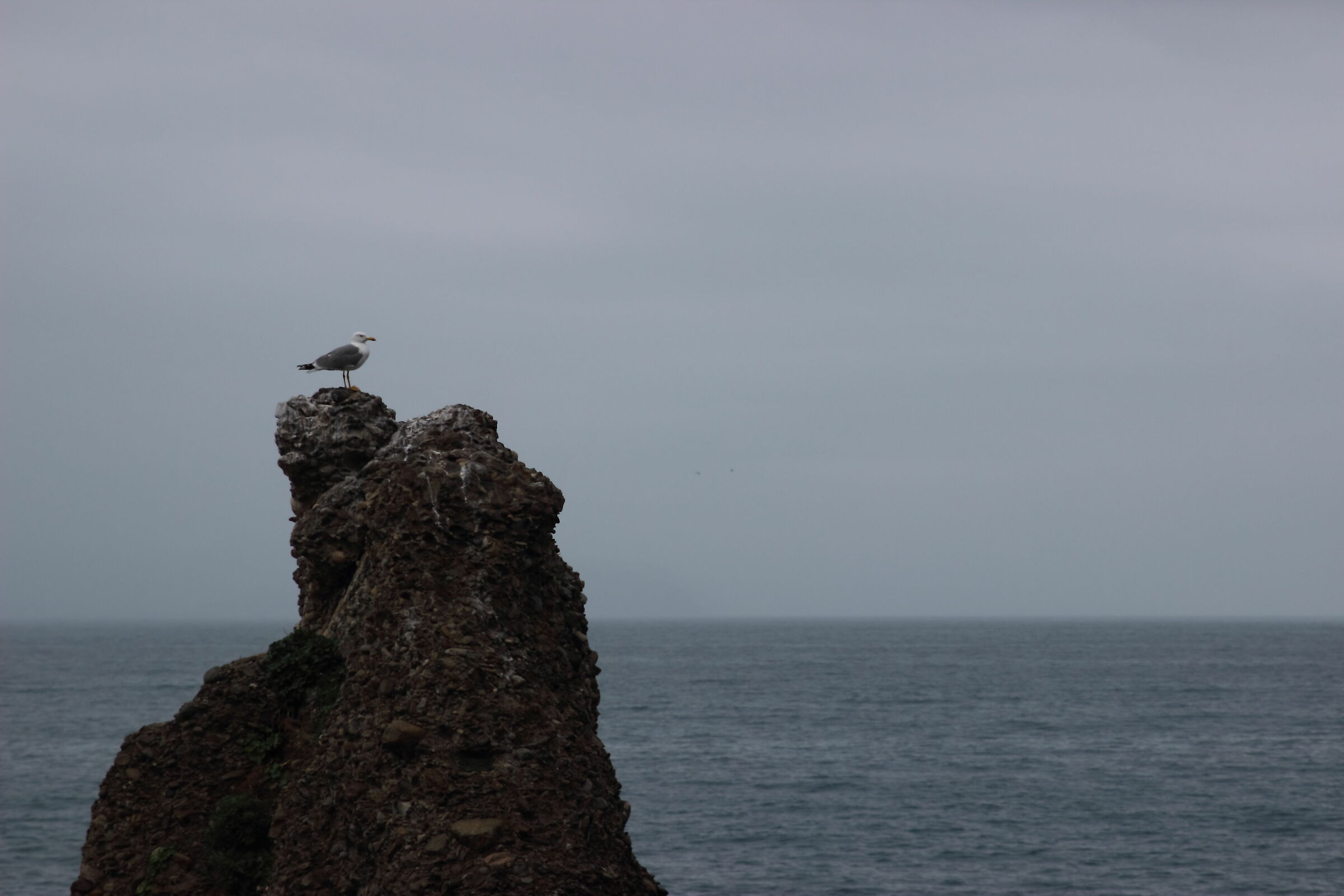 il guardiano del mare