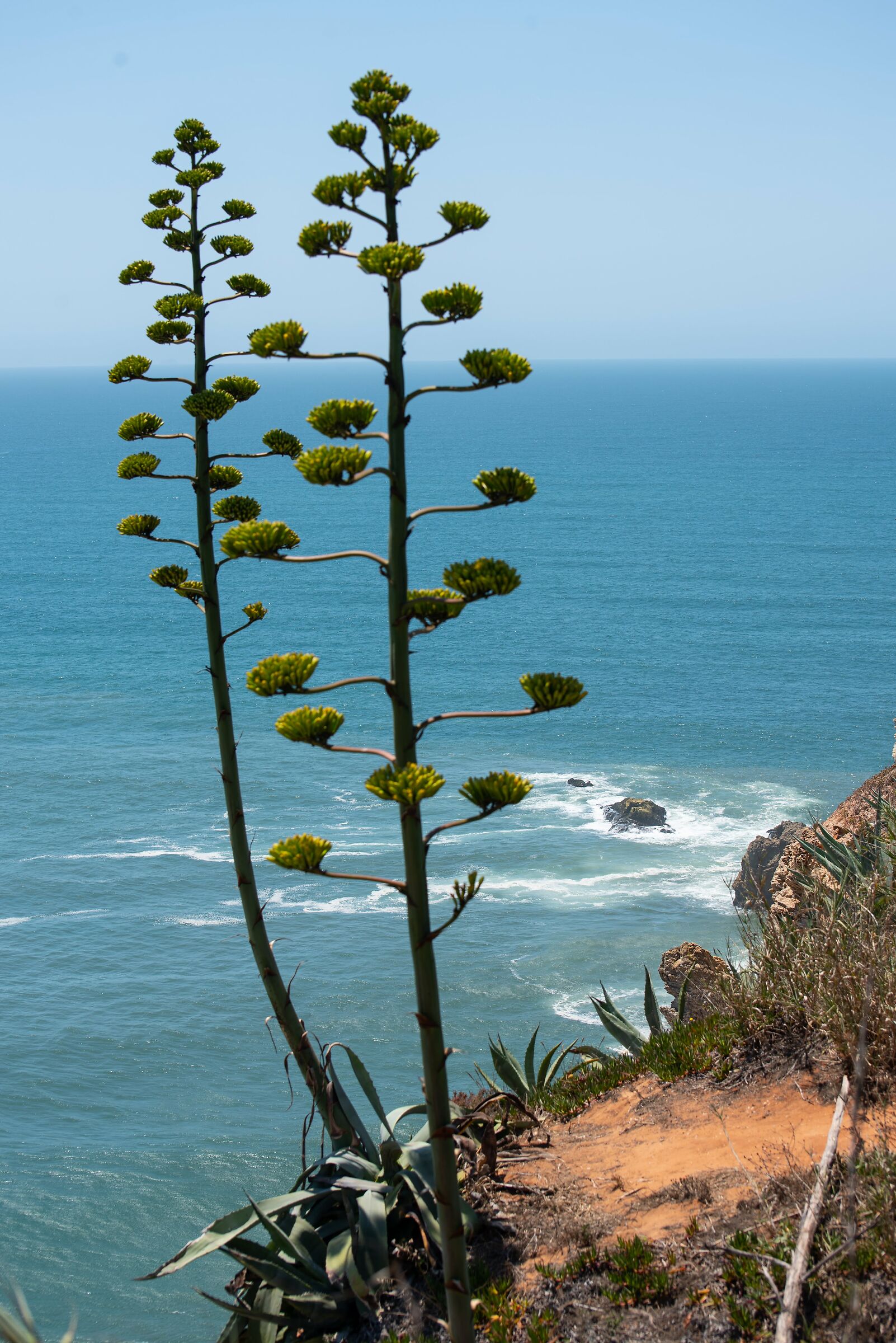 Scorcio tra mare e terra in Portogallo