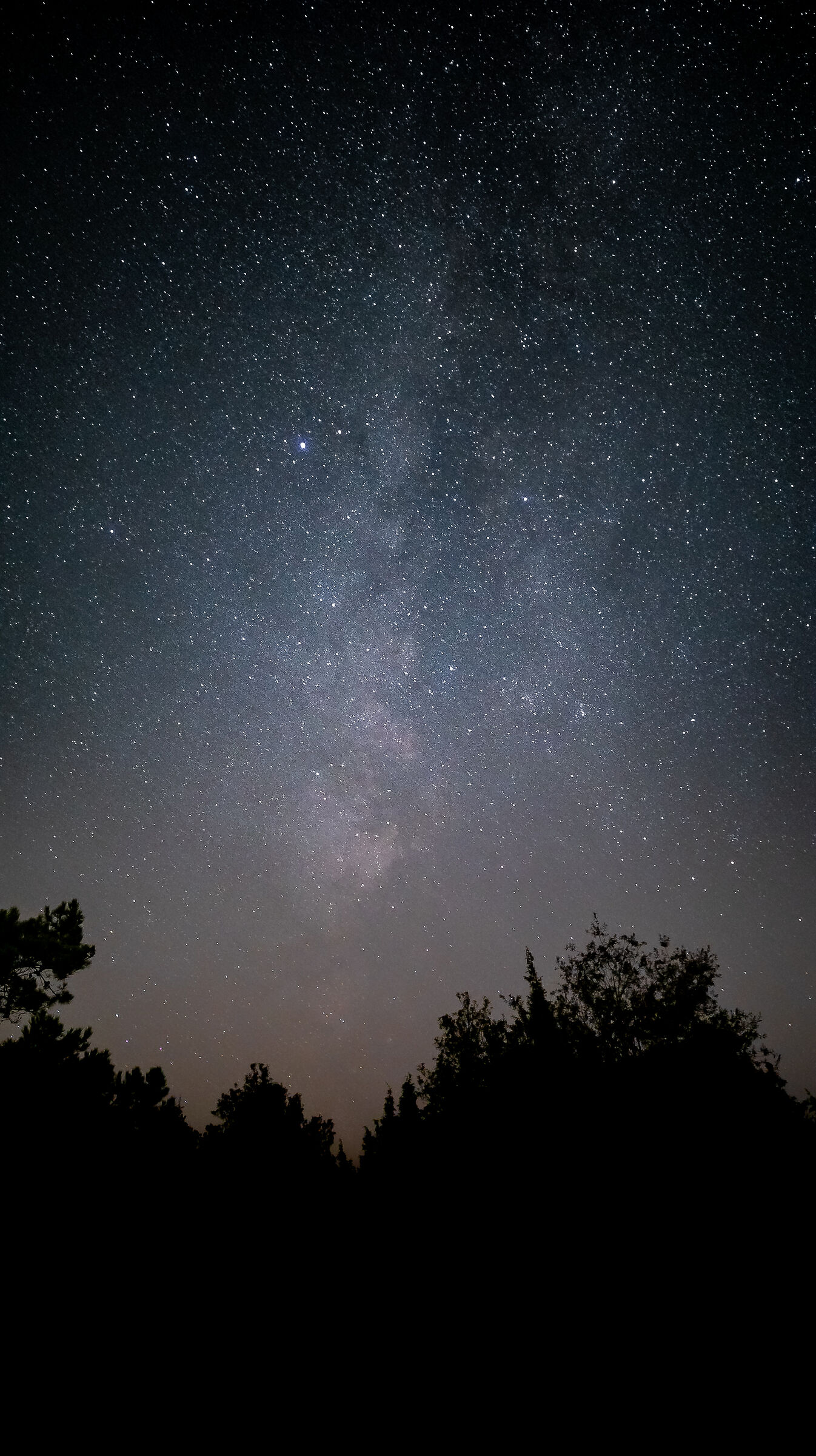 Running away from swingers (for real)