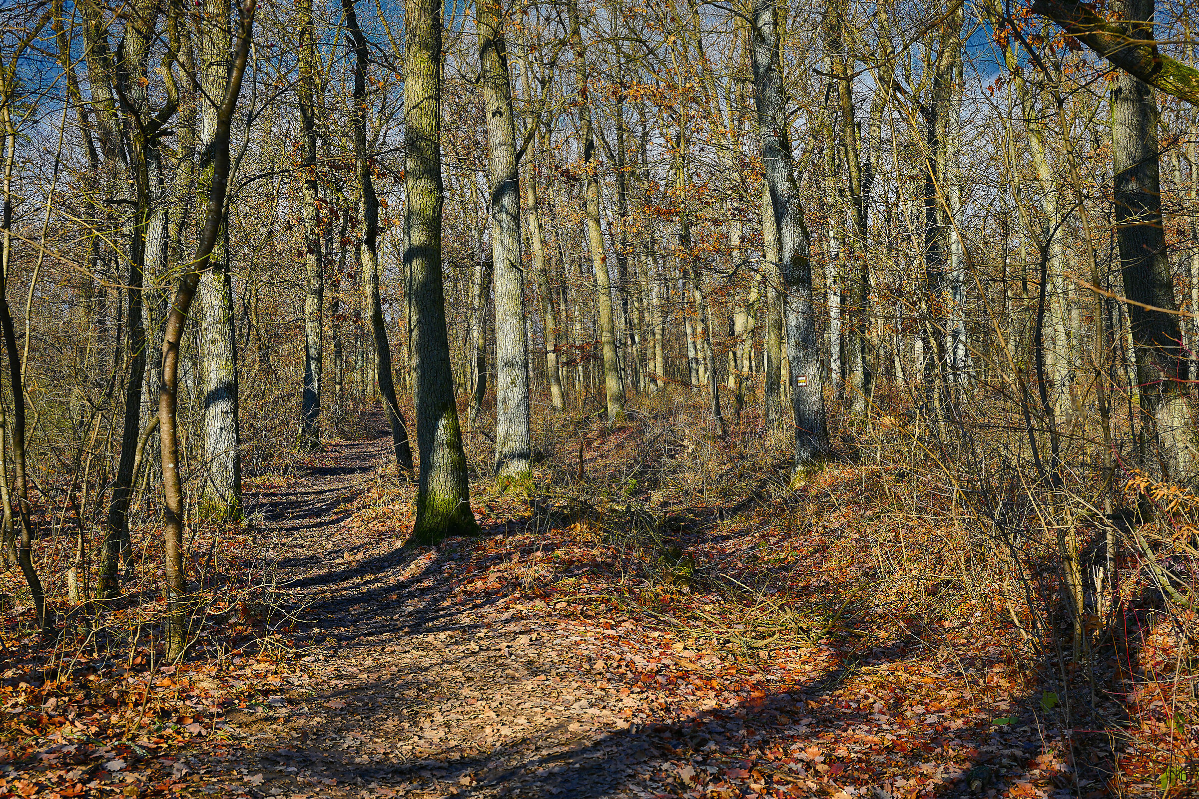 Waiting for the Spring