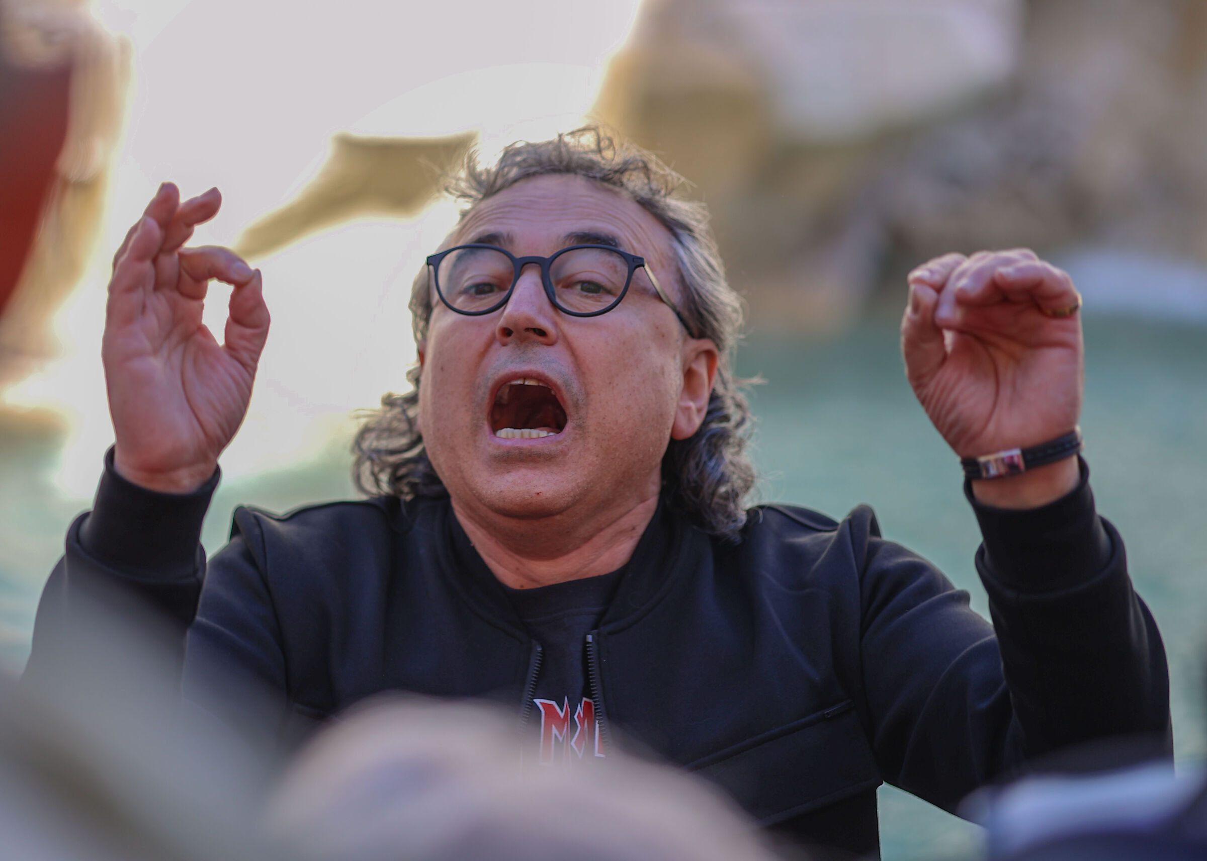 Il Direttore D'orchestra