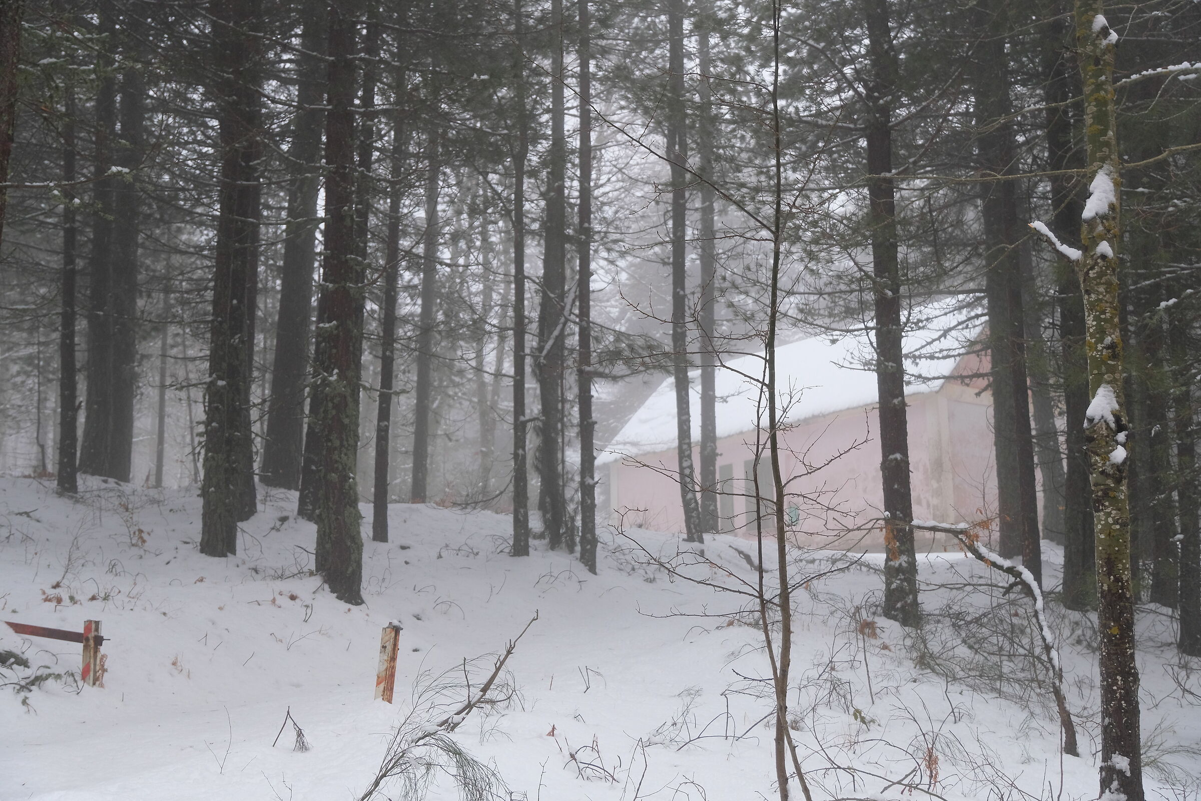 Casa nel bosco nei pressi di Fago del soldato, Sila