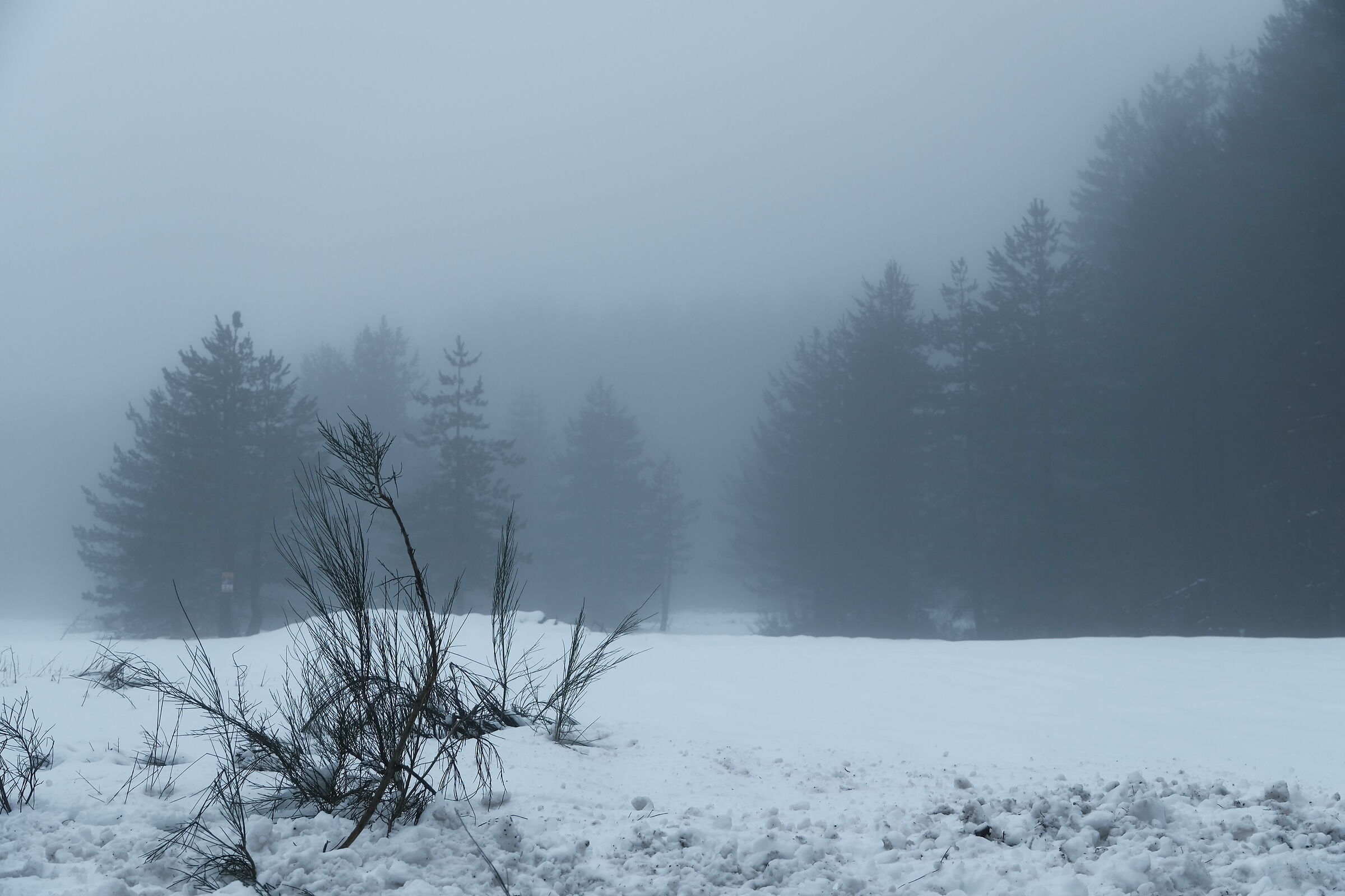 Sila, nei pressi di Fago del soldato
