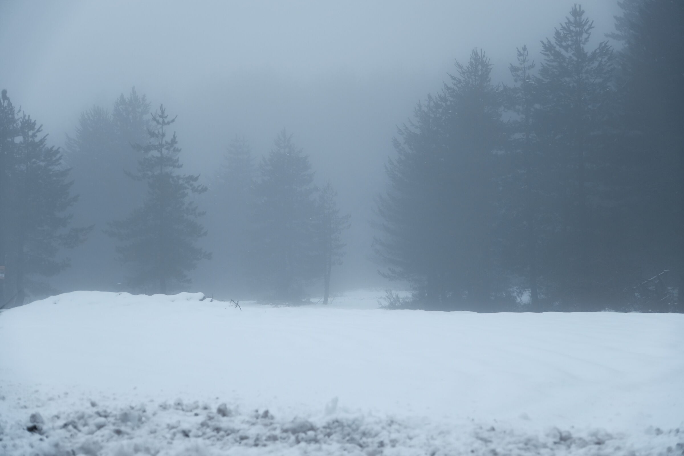 Sila, nei pressi di Fago del soldato 2