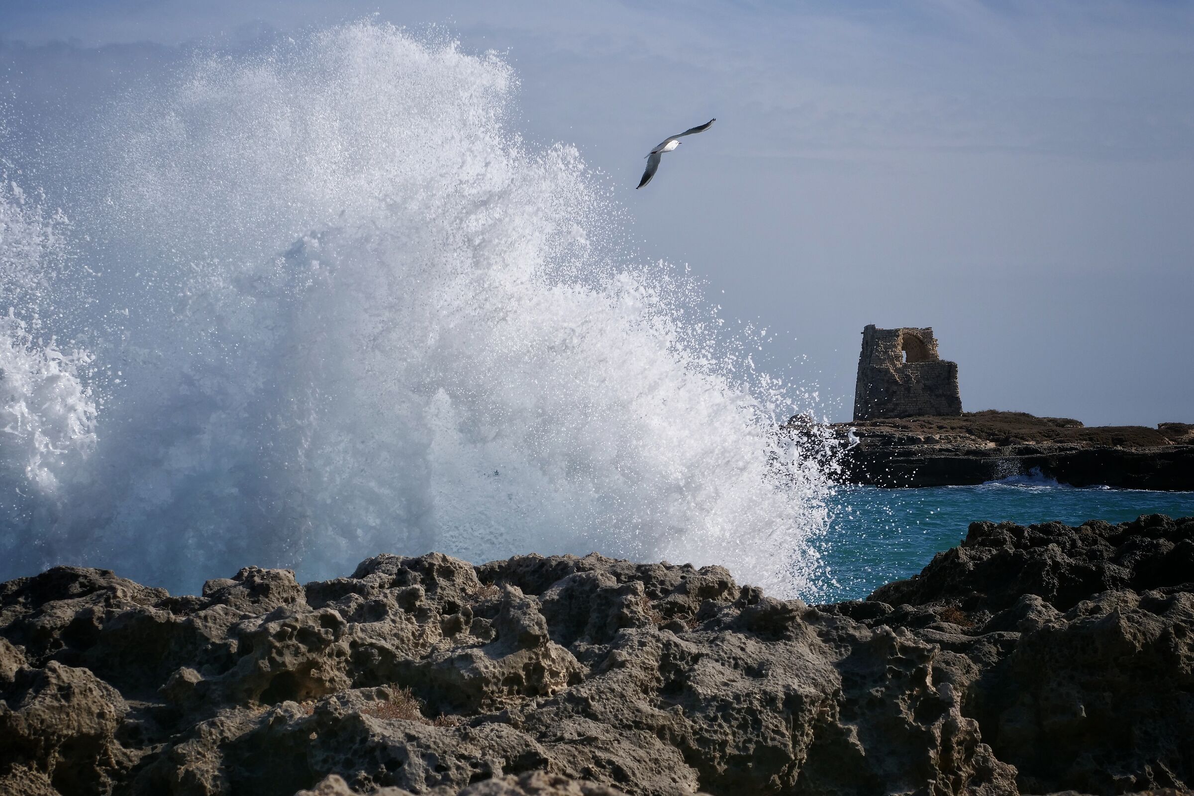 Domenica 11 Febbraio 2024