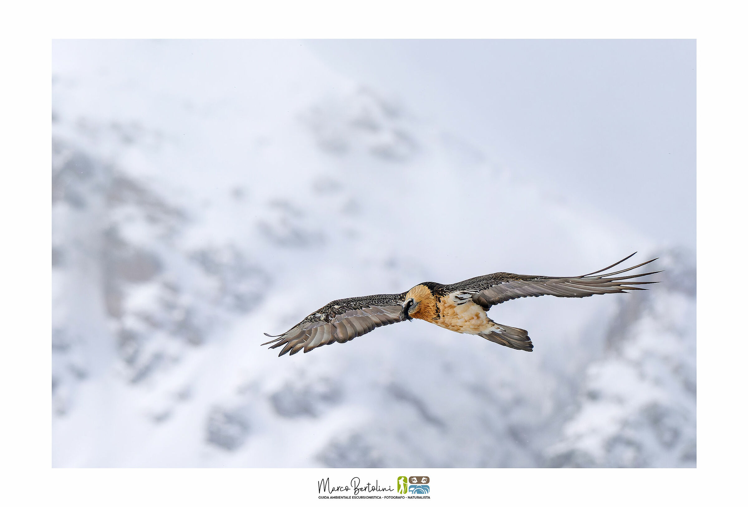 The Flight of Icarus