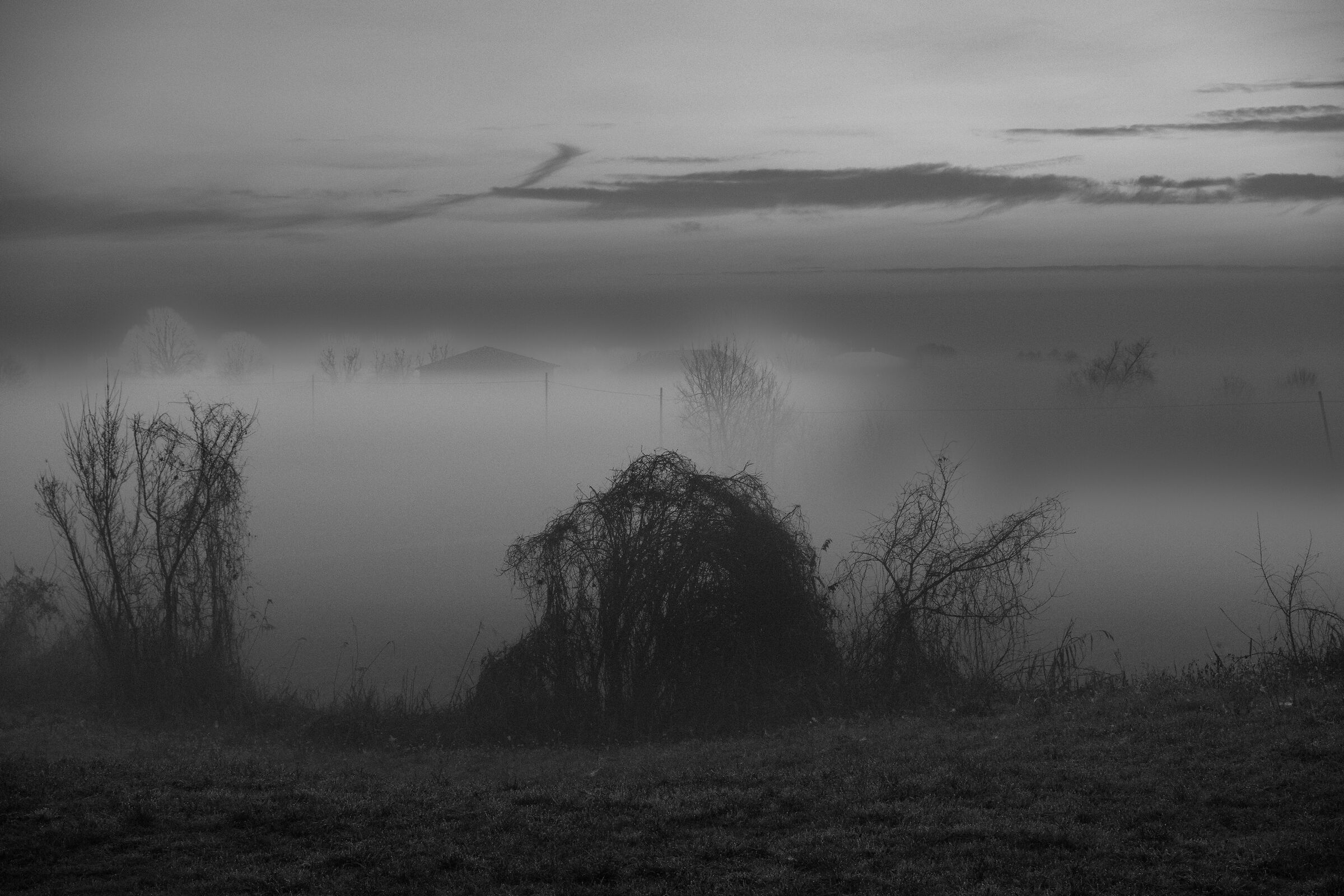 All'alba la nebbia avvolge il borgo