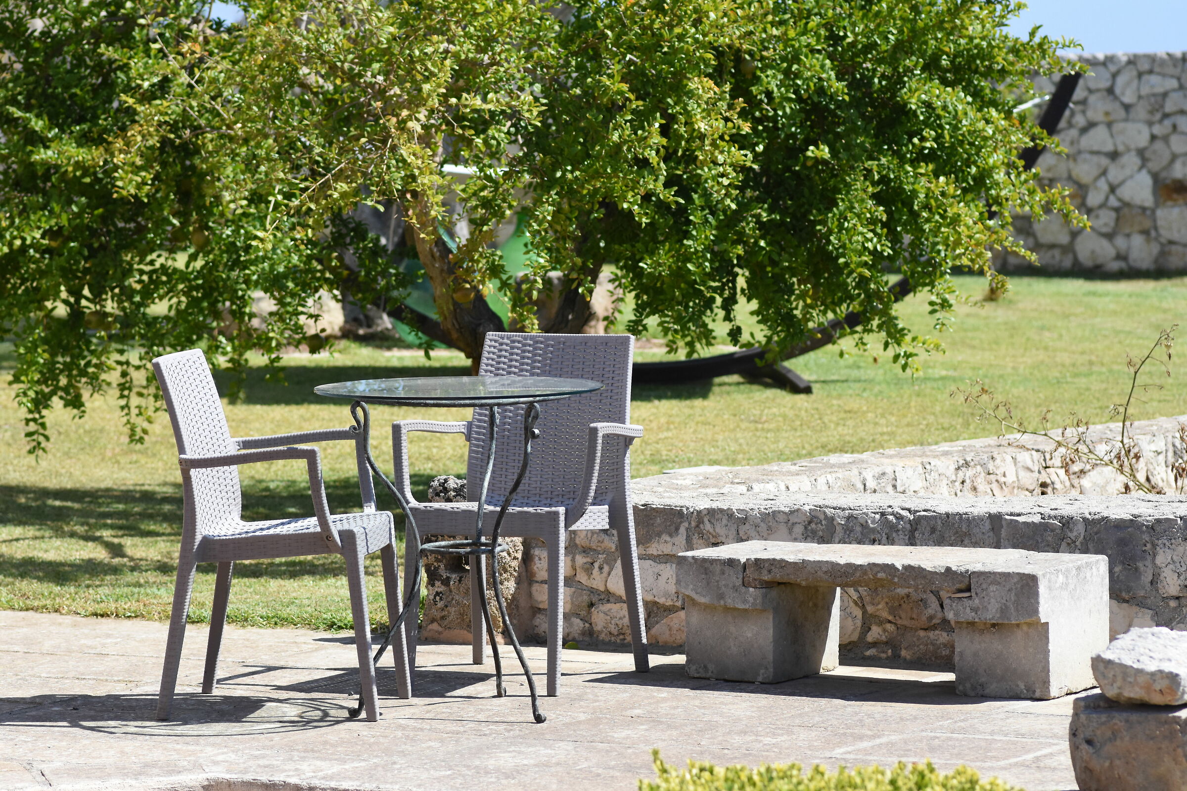 " Crop 150 ", 1/8 Mila, Tokina 100 F. 2.8 Atx-i- D...