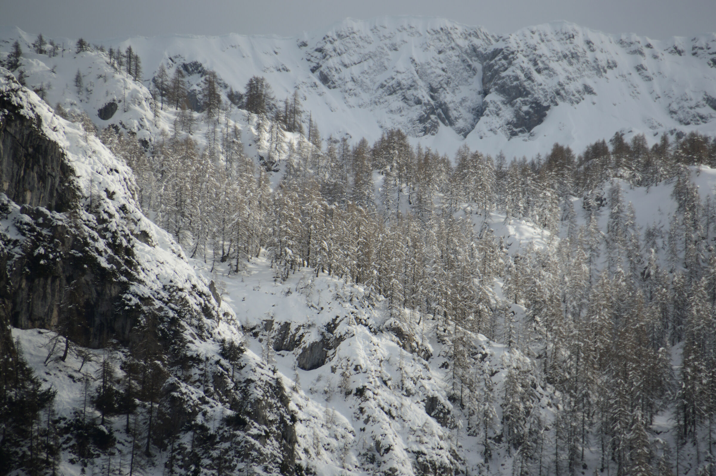 Grigna settentrionale invernale
