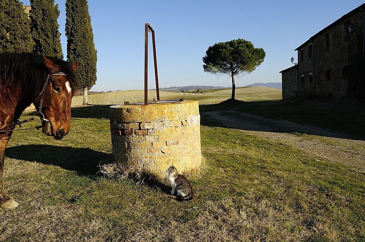 meetings in the Val d'Orcia