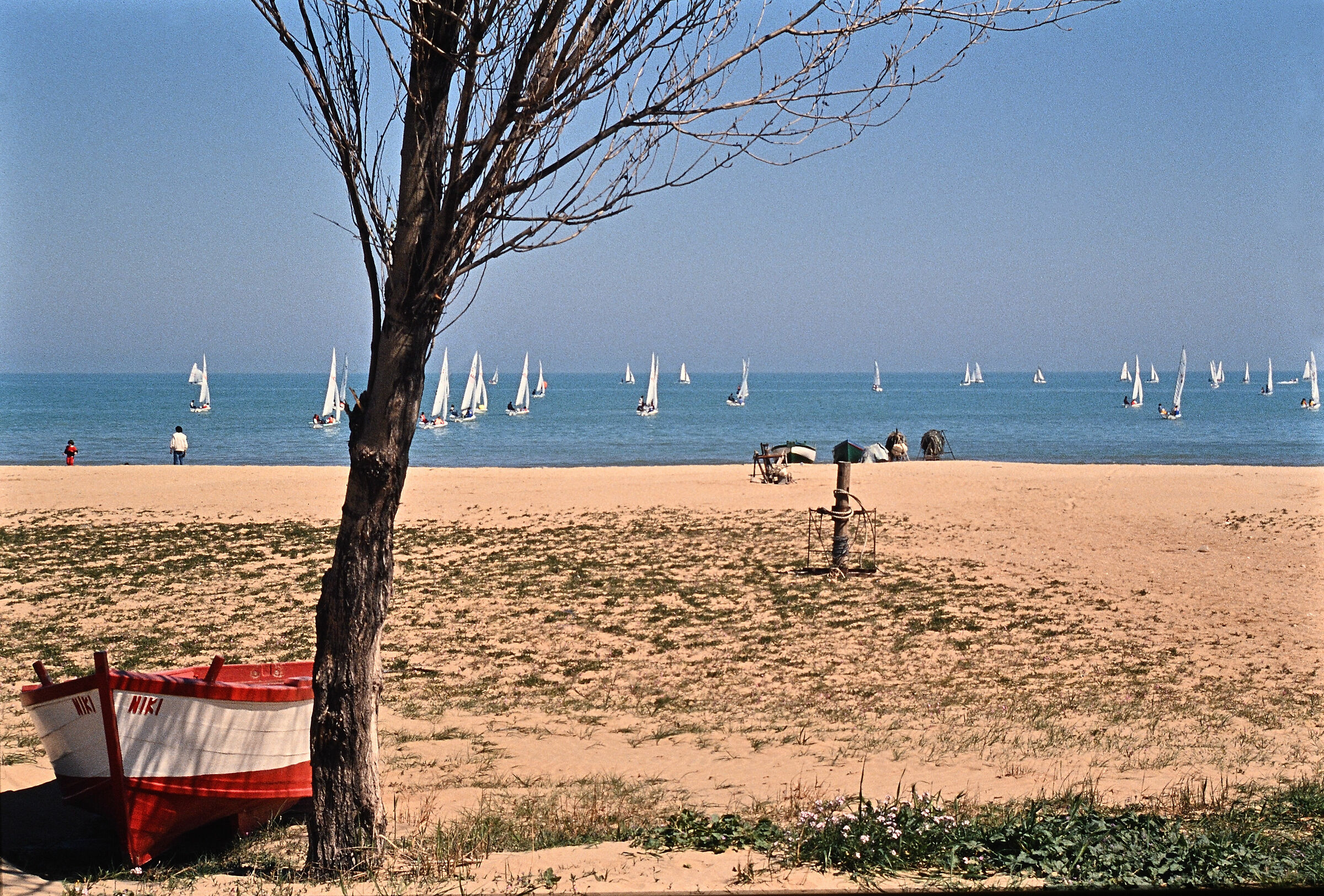 I'm coming too... not you, no!