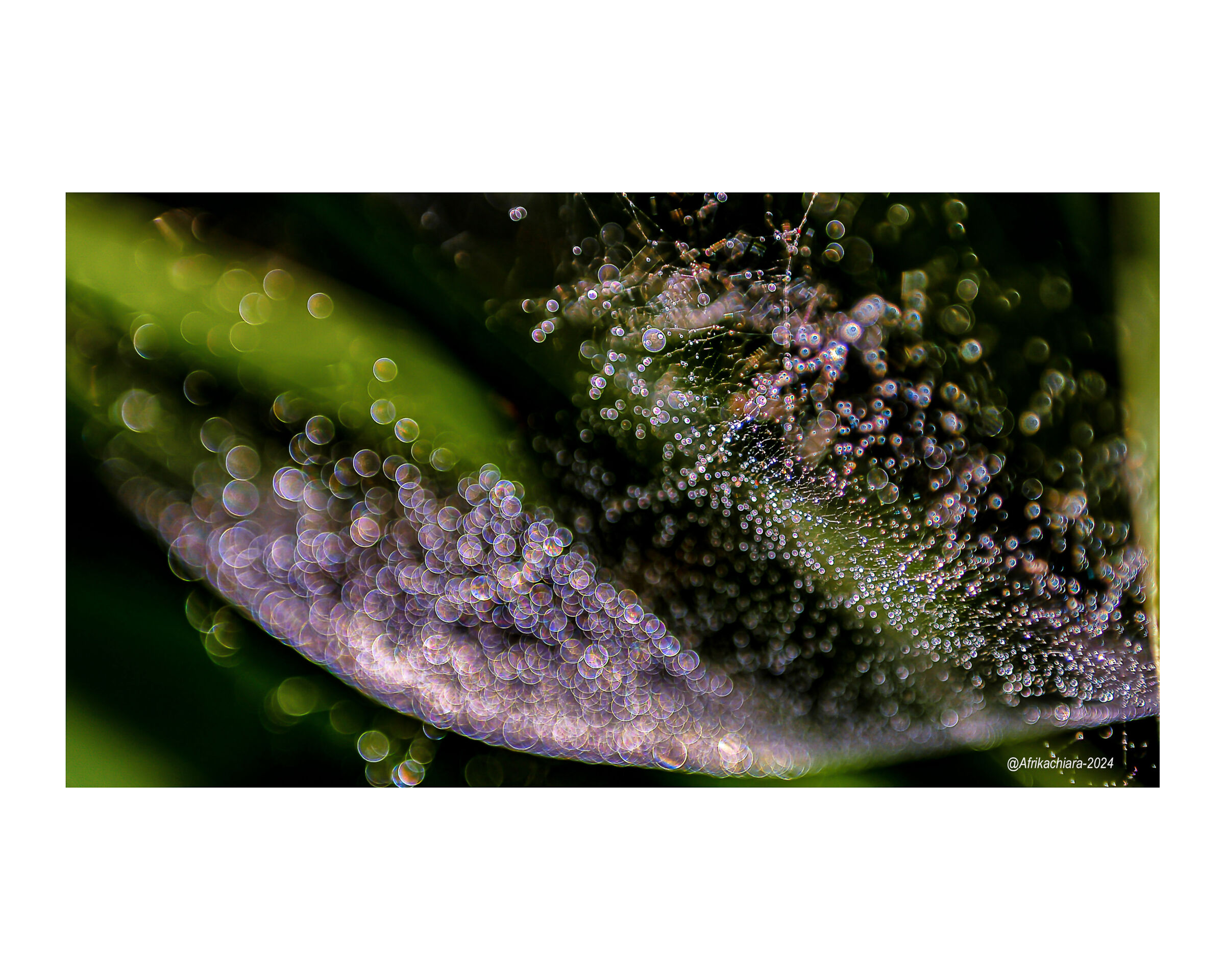 Everything teems in the darkness