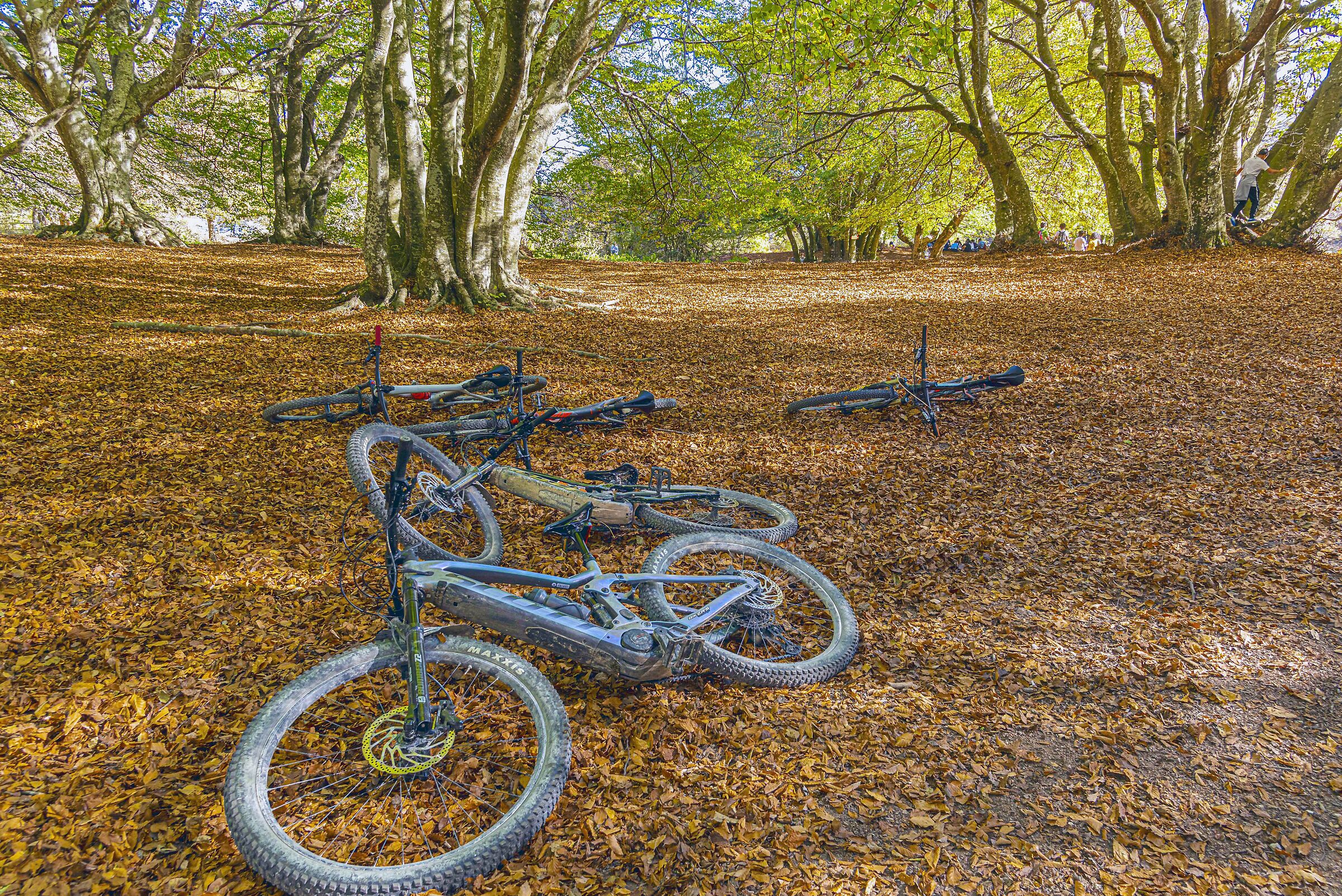 biciclette a canfaito