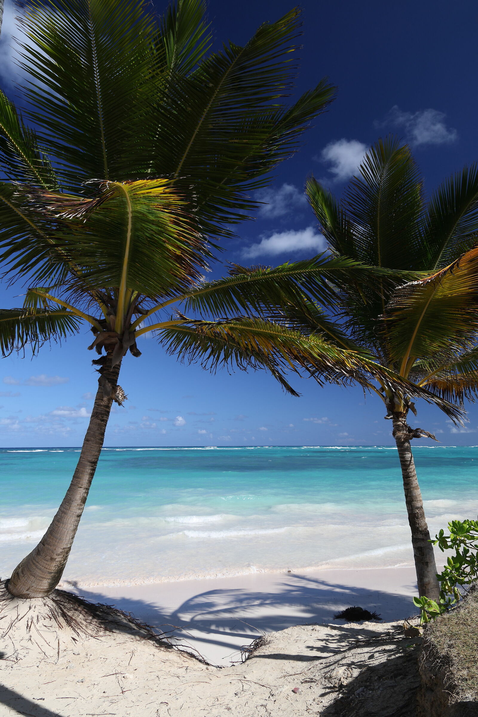 Caribbean colors, Arena Blanca Beach