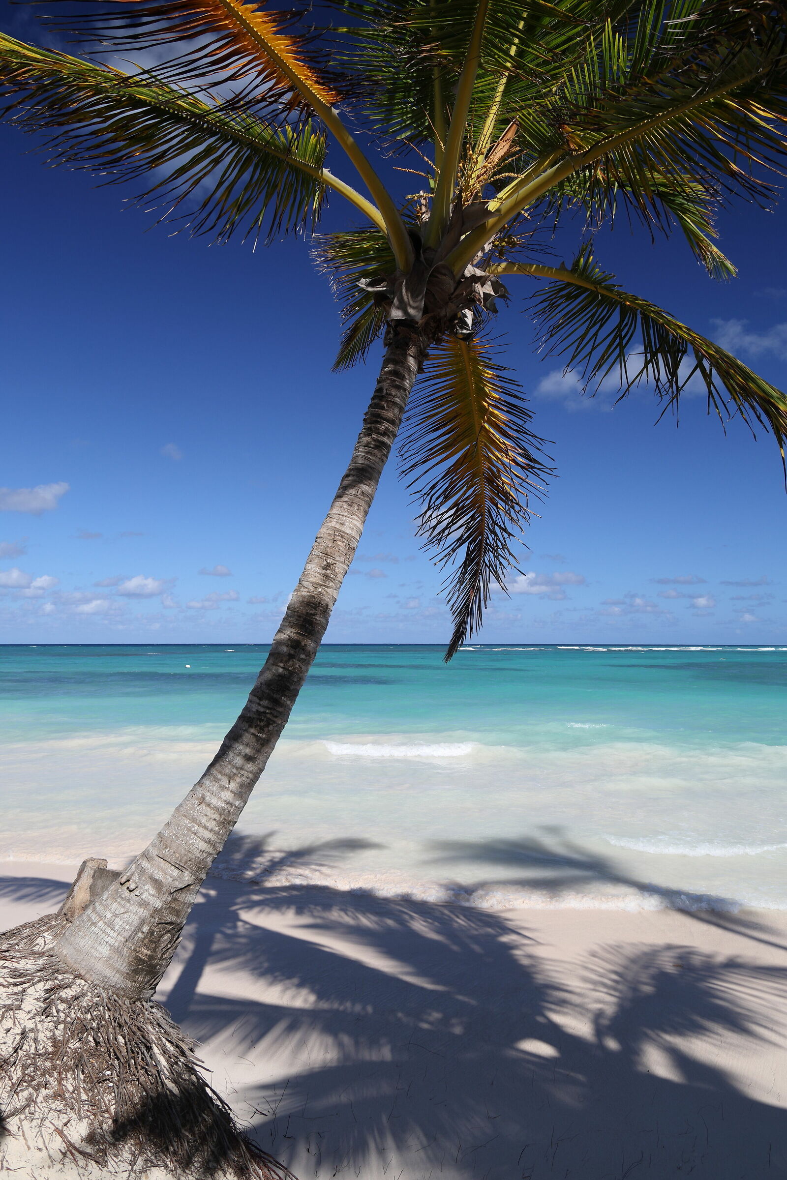 Caribbean colors, Arena Blanca Beach