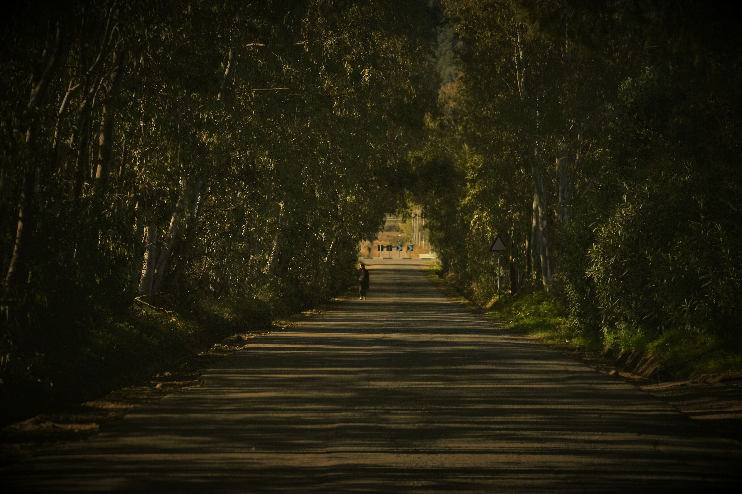 " Nella sua verde campana"