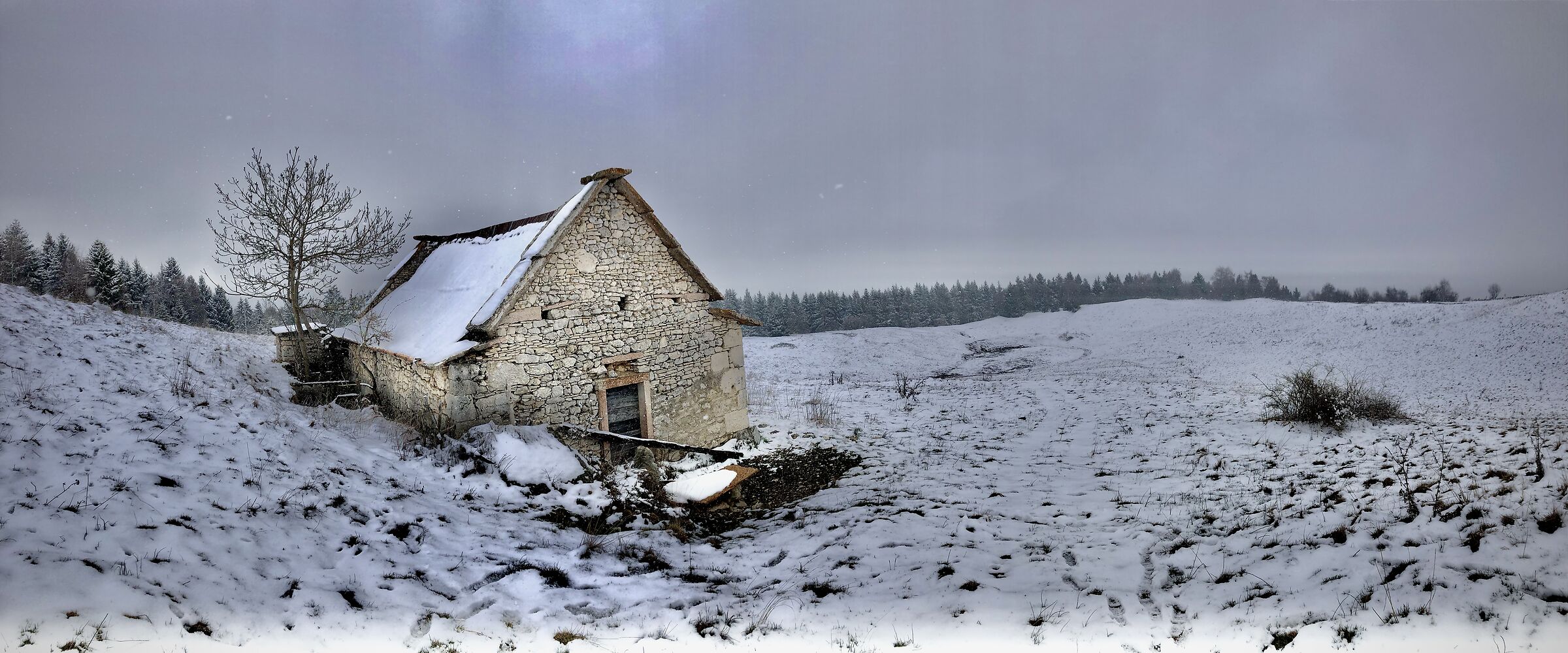 Inverno