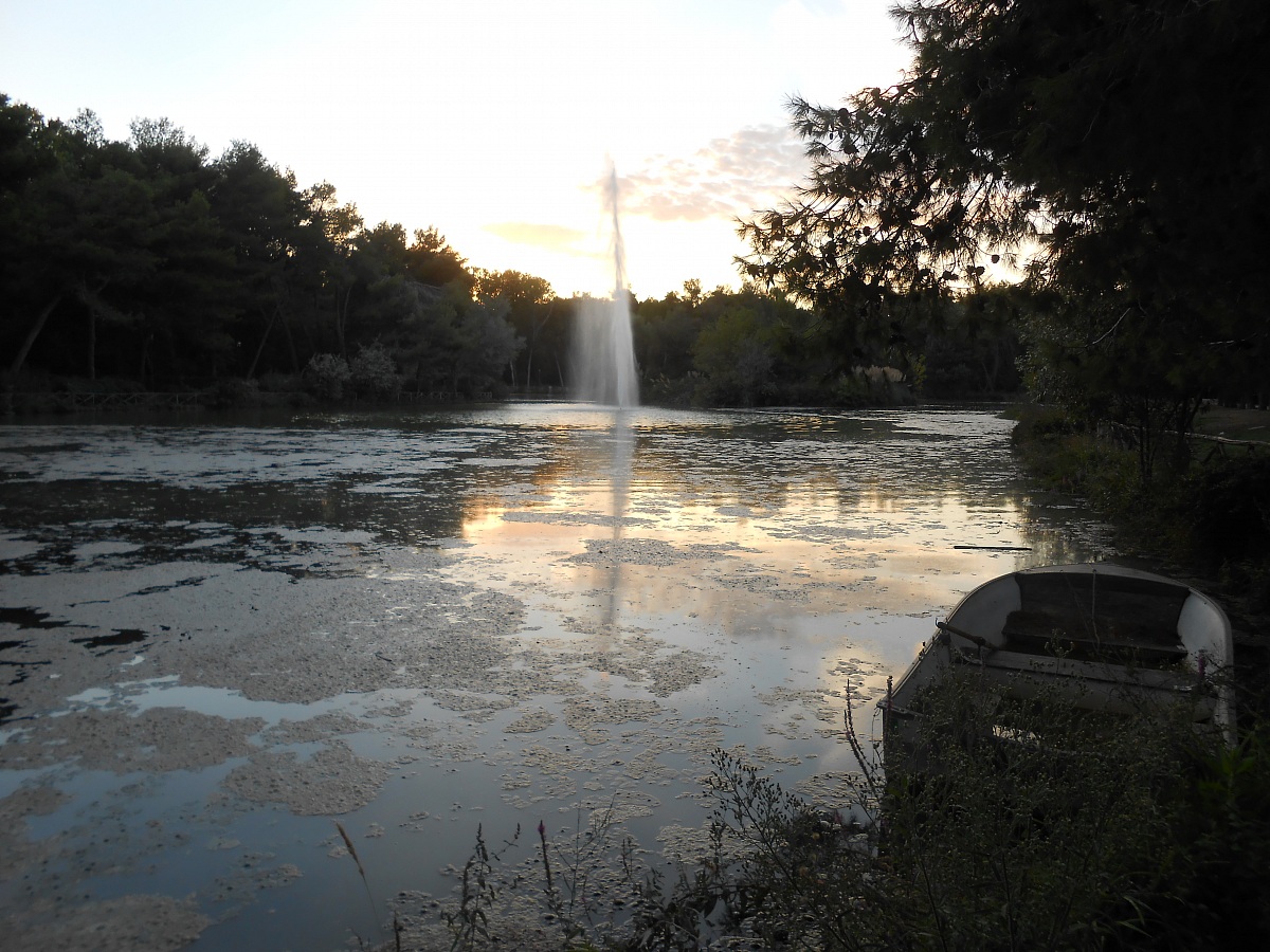 Pineta D'Annunzio Pescara