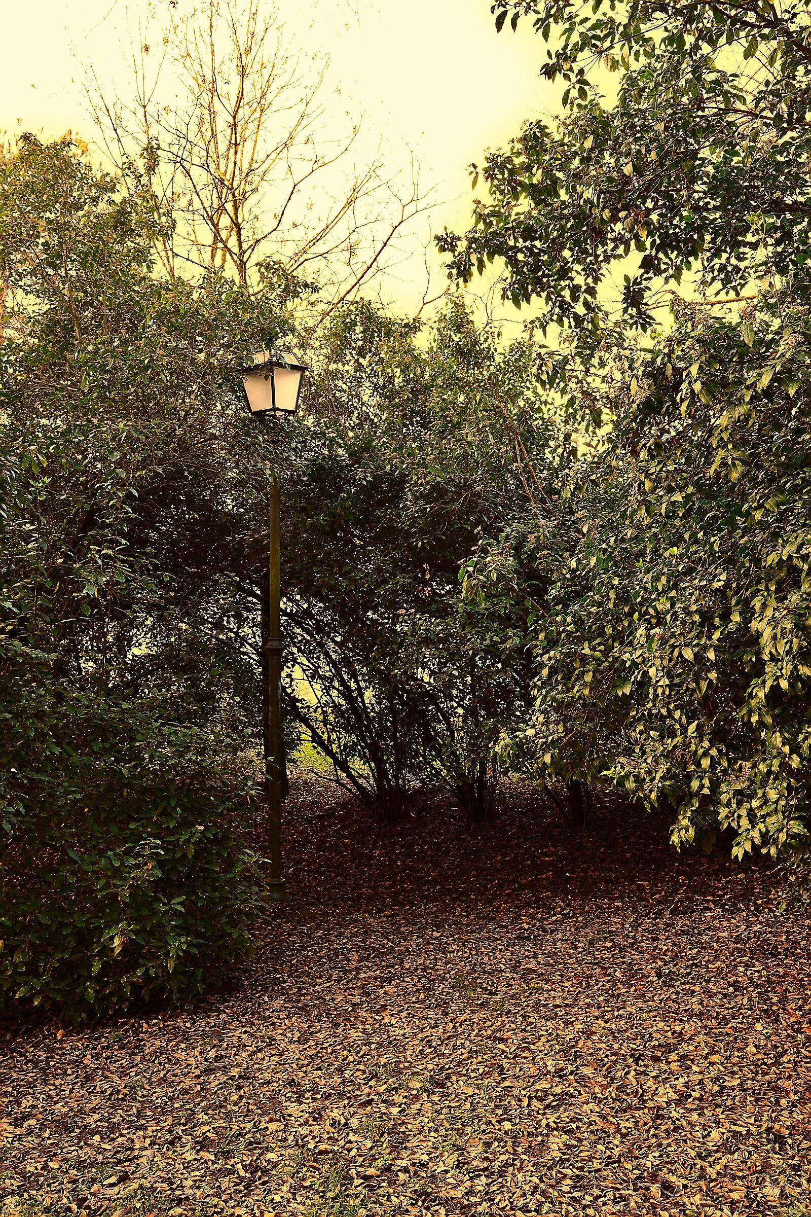 Untitled Photo