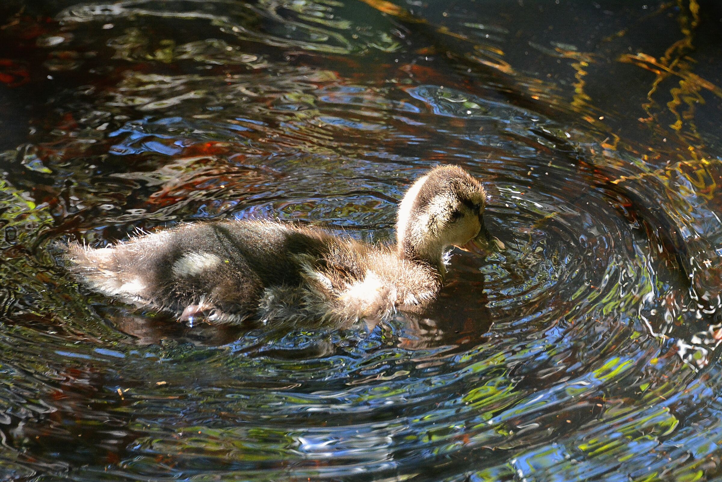 Bath