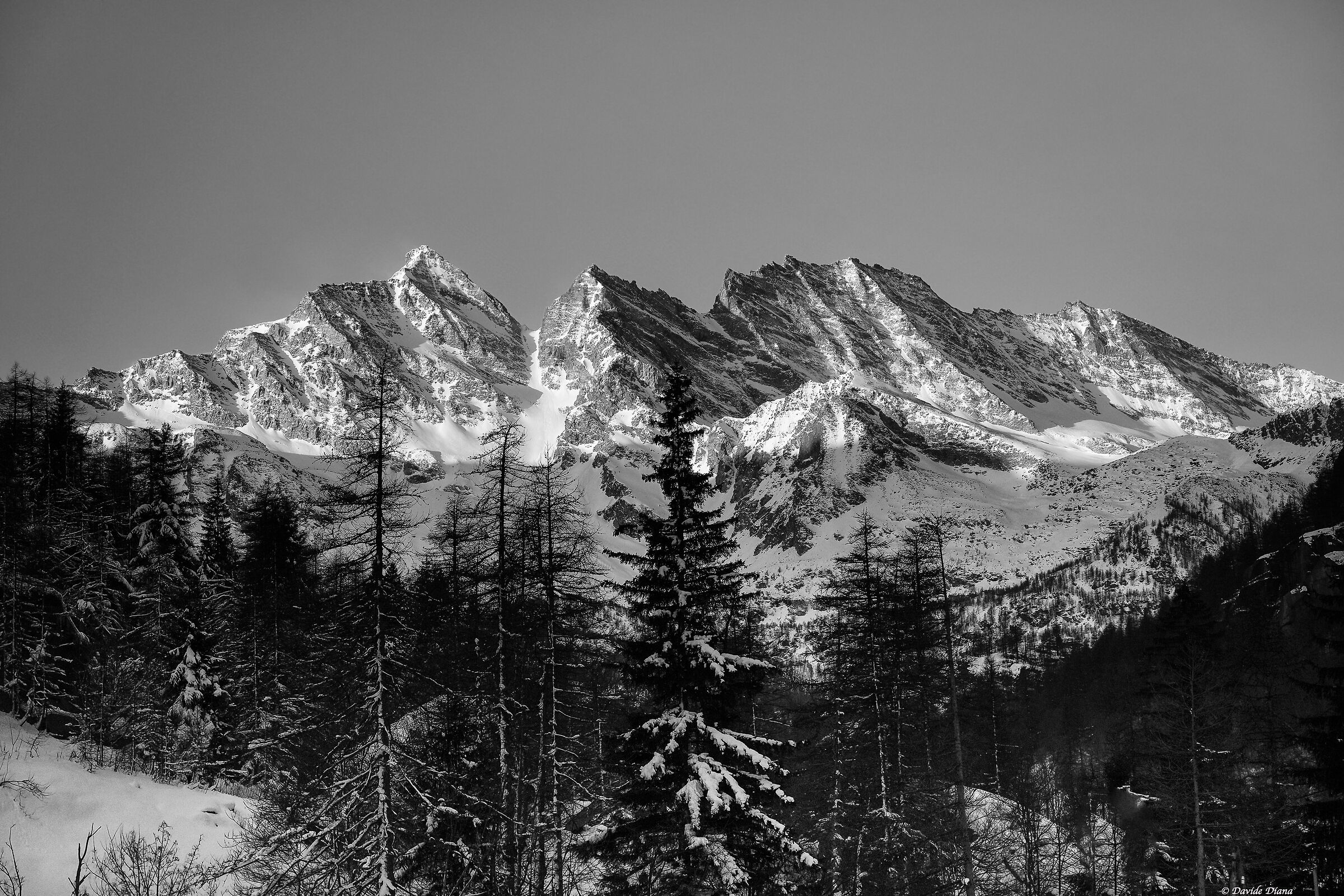 Gran Paradiso National Park - Piedmont