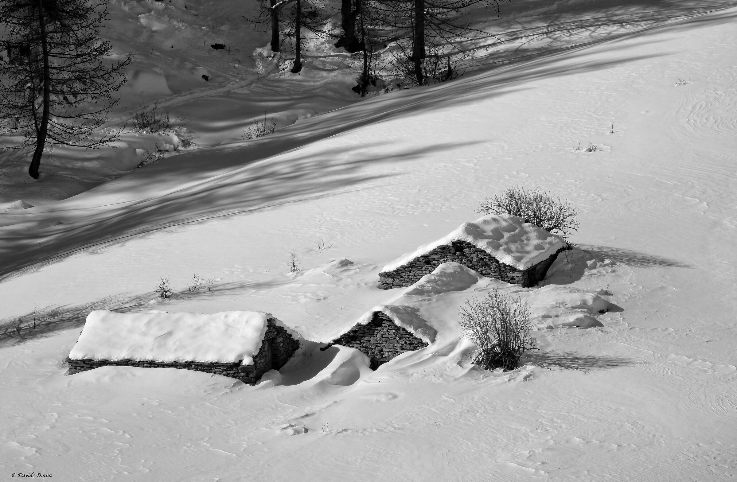 Gran Paradiso National Park - Piedmont