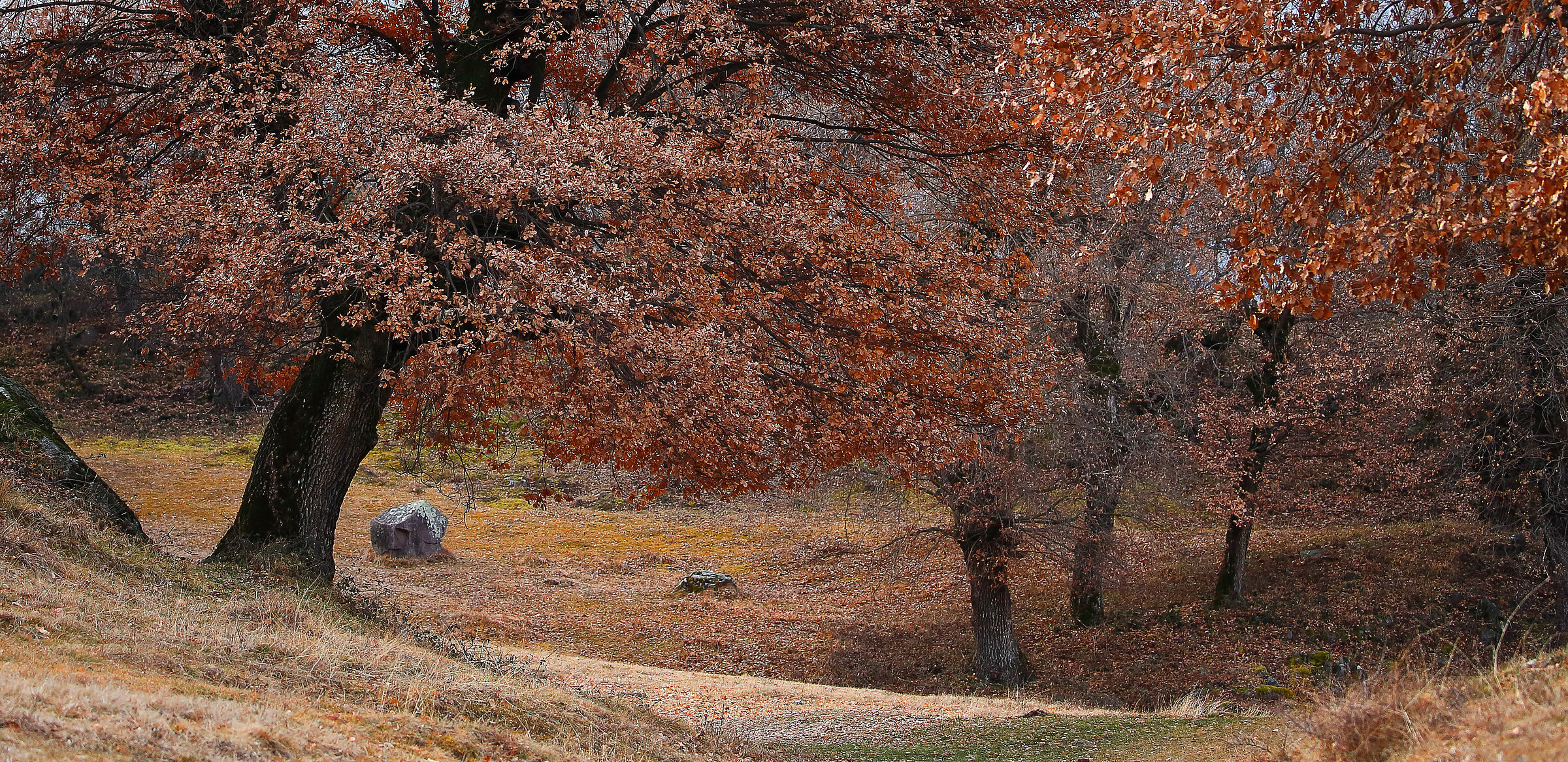 La collina di Castelfeder
