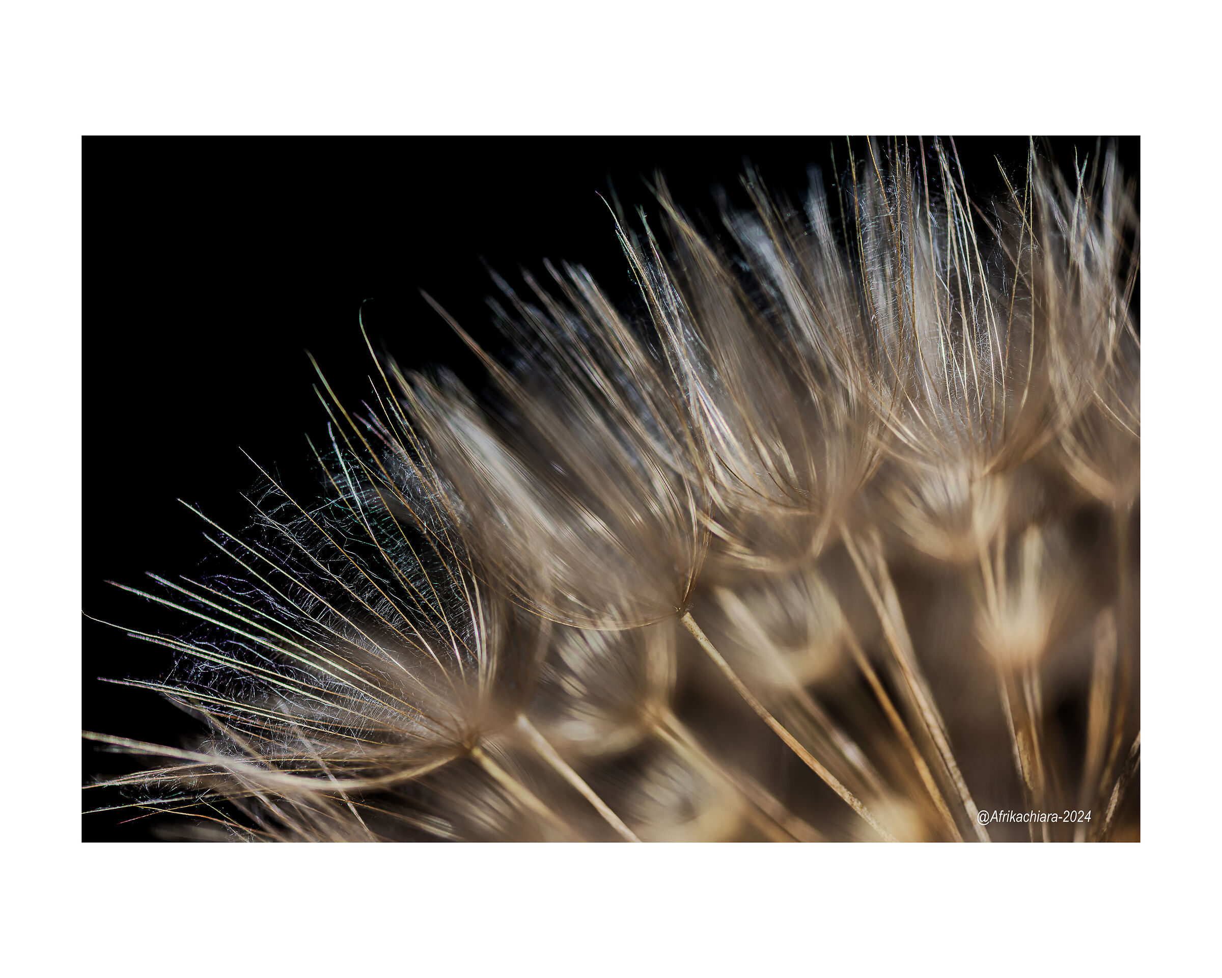 La trasparenza del soffio...